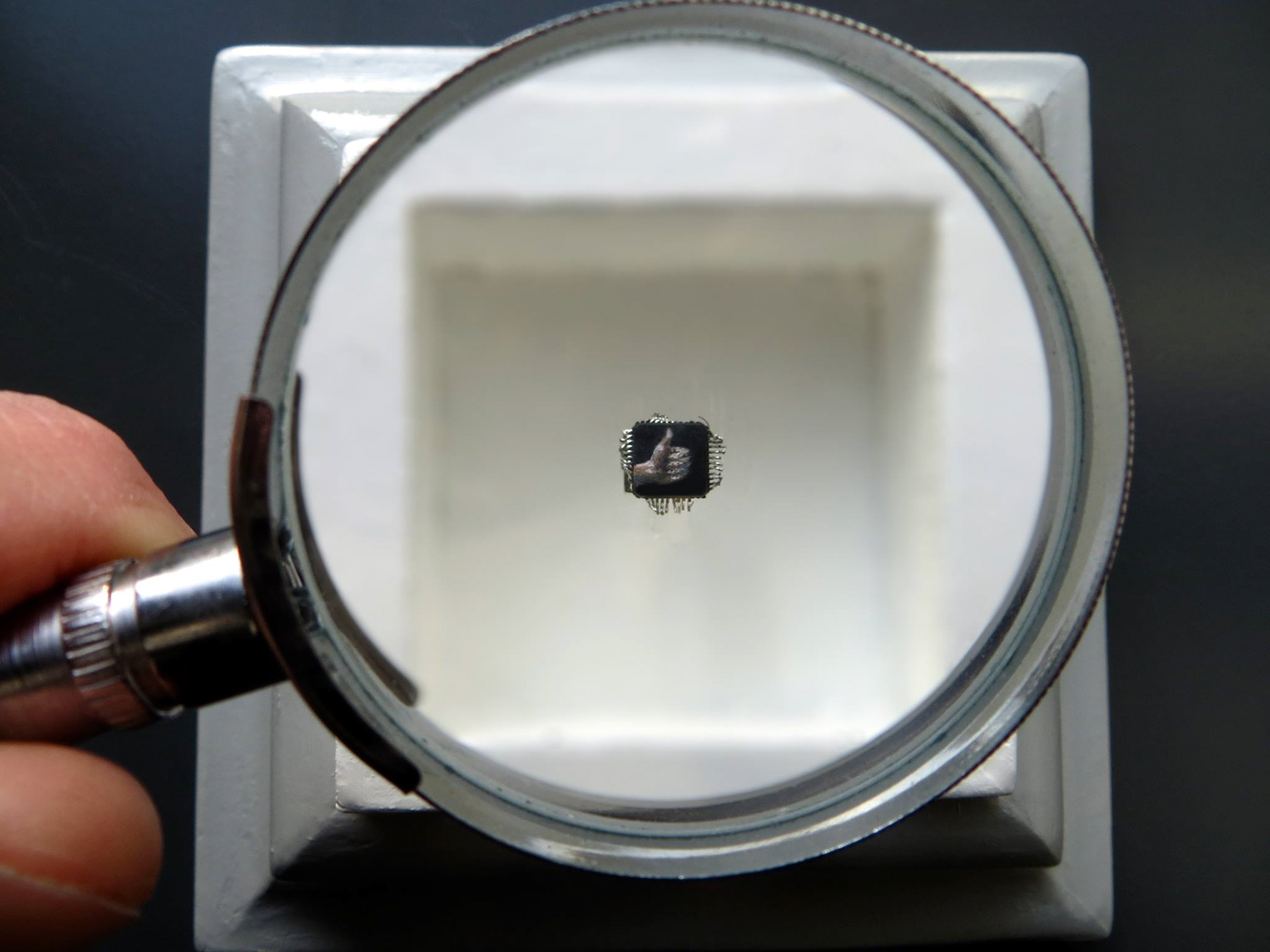 Validation Virus, oil on microchip, 1 x 1 cm, 2013