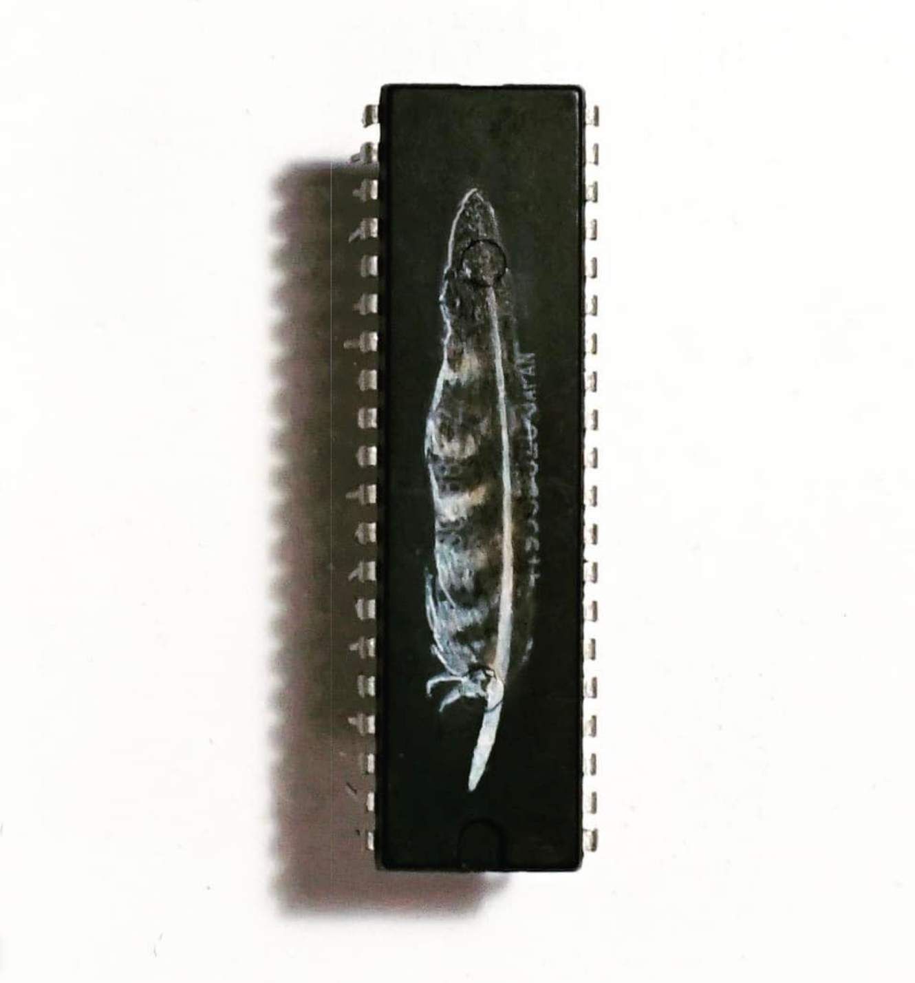 Hawk Feather, Oil on microchip, 5 x 1 cm, 2016