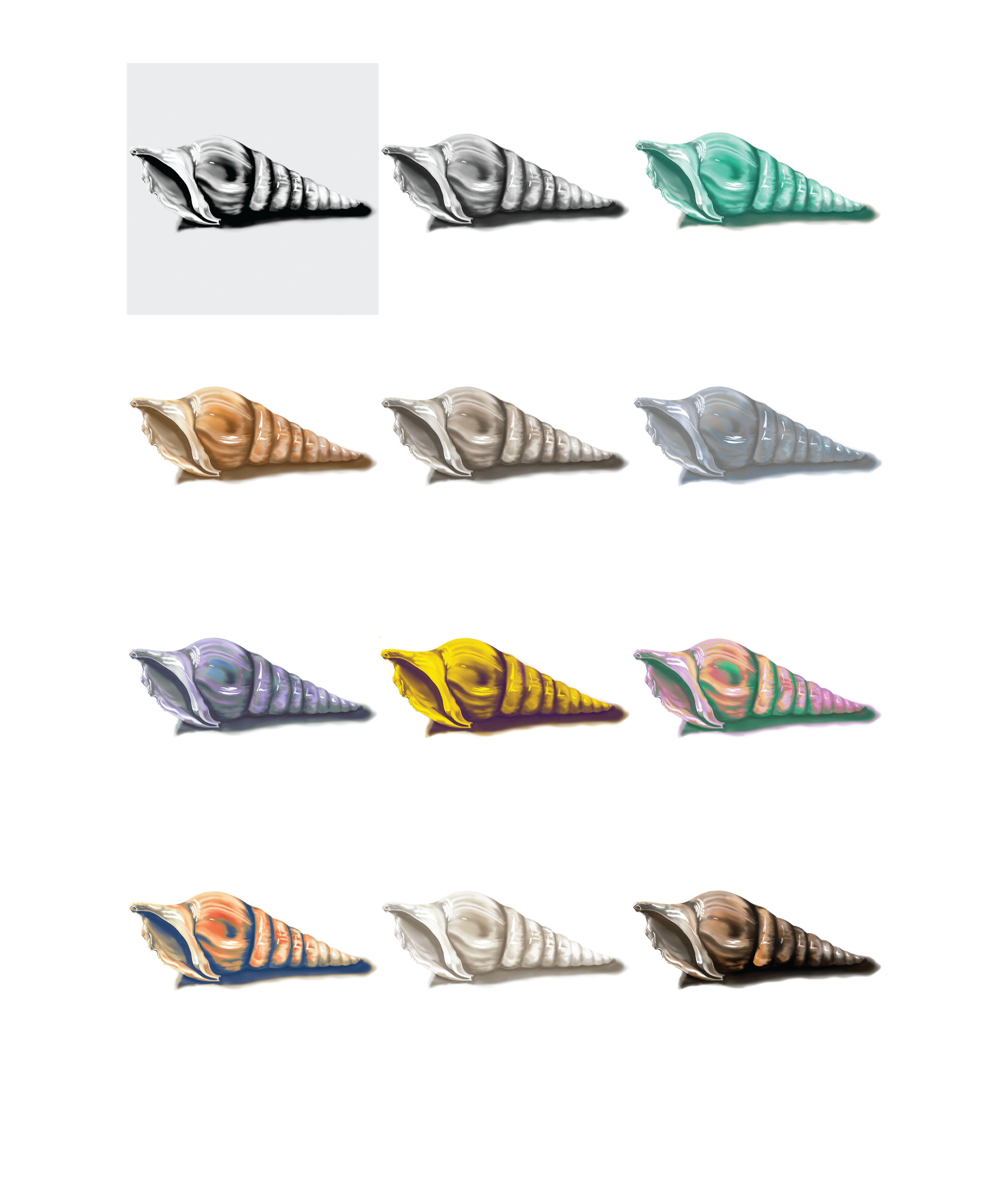 Color Studies of a Shell, Adobe Photoshop