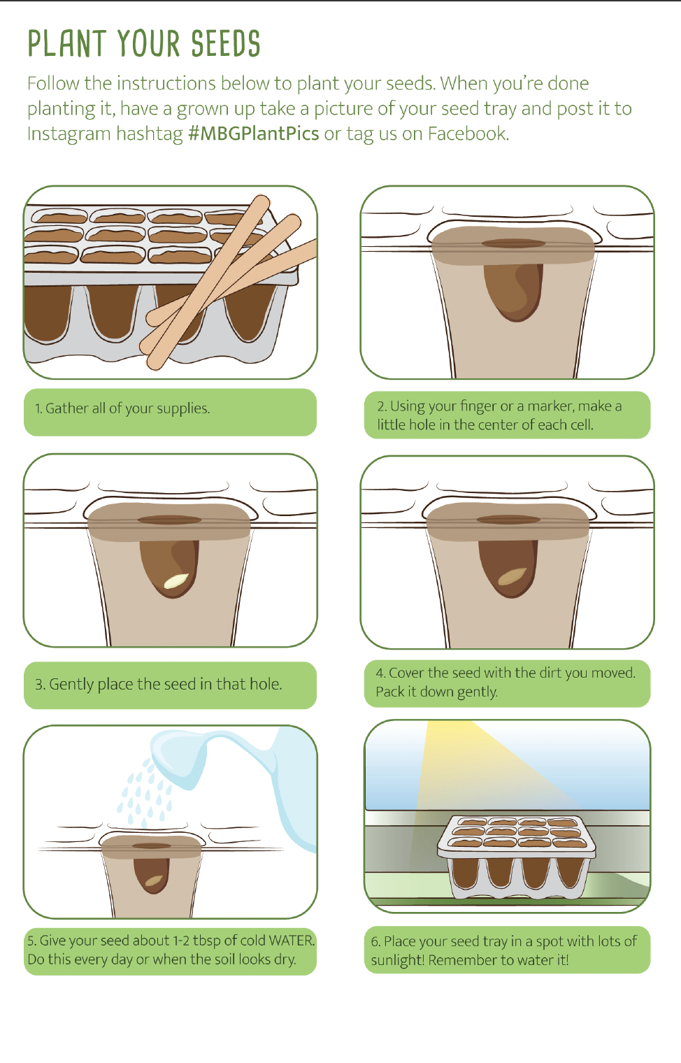 Planting activity booklet 