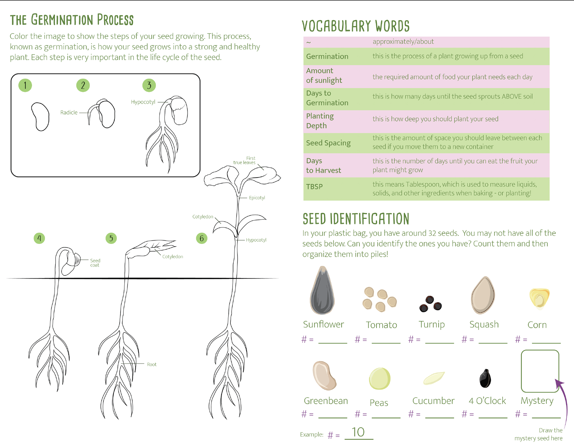 Planting activity booklet 