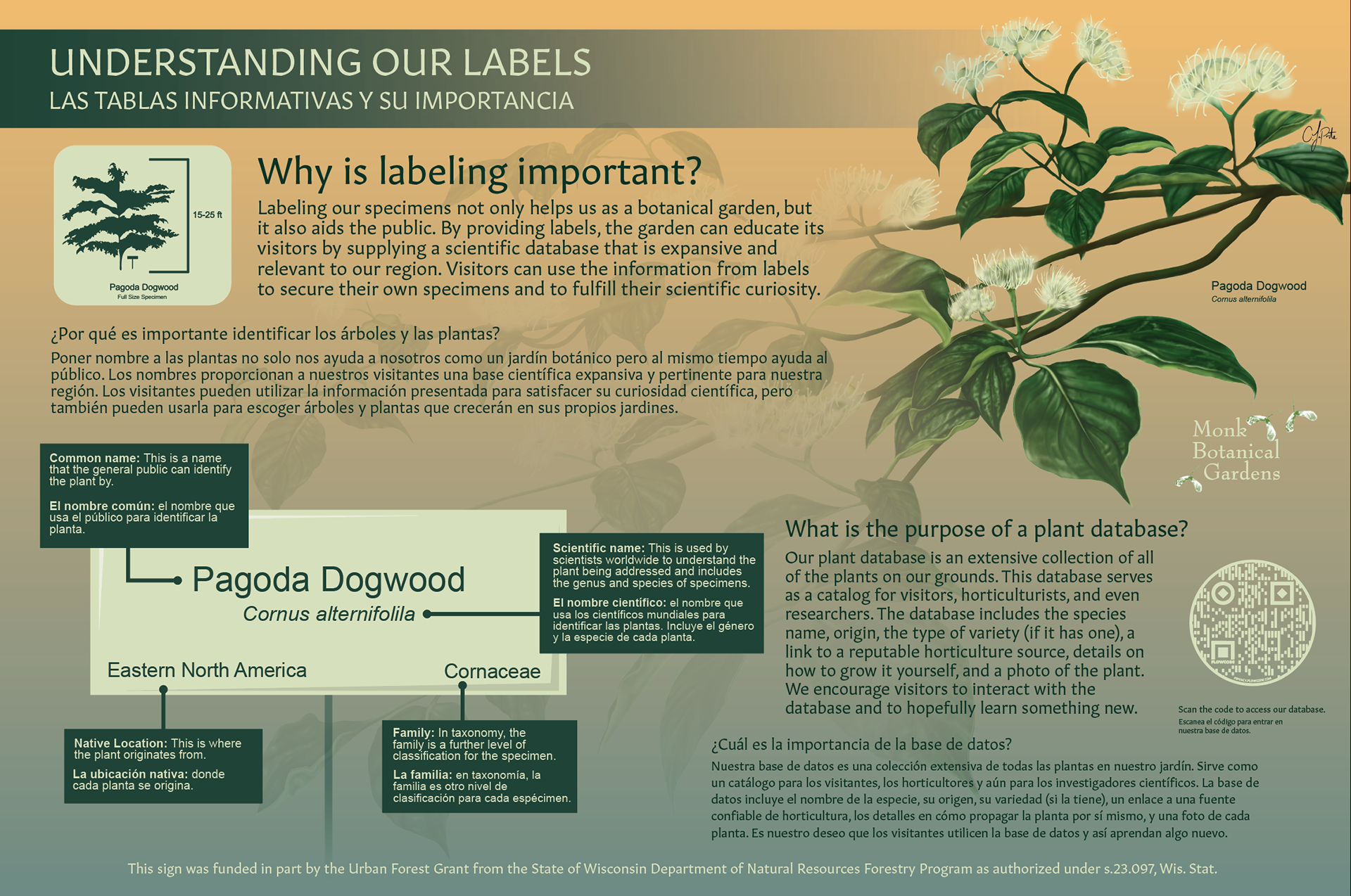 Illustration for Internship