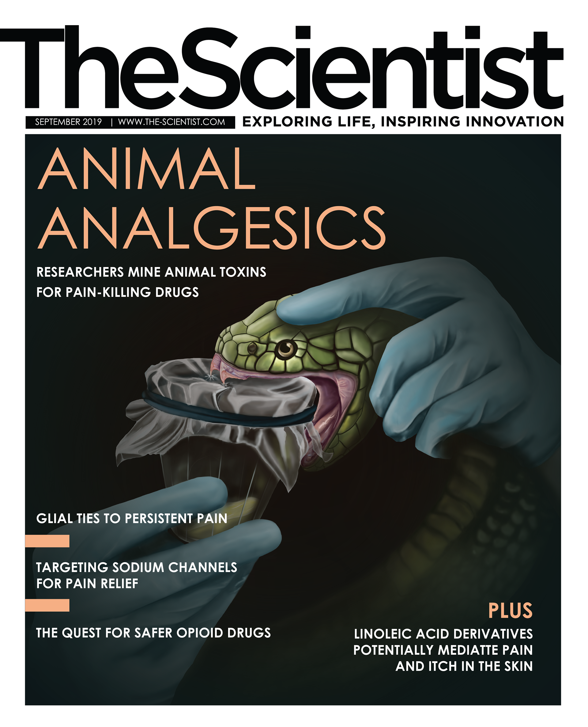 Editorial Cover, Photoshop, 2020