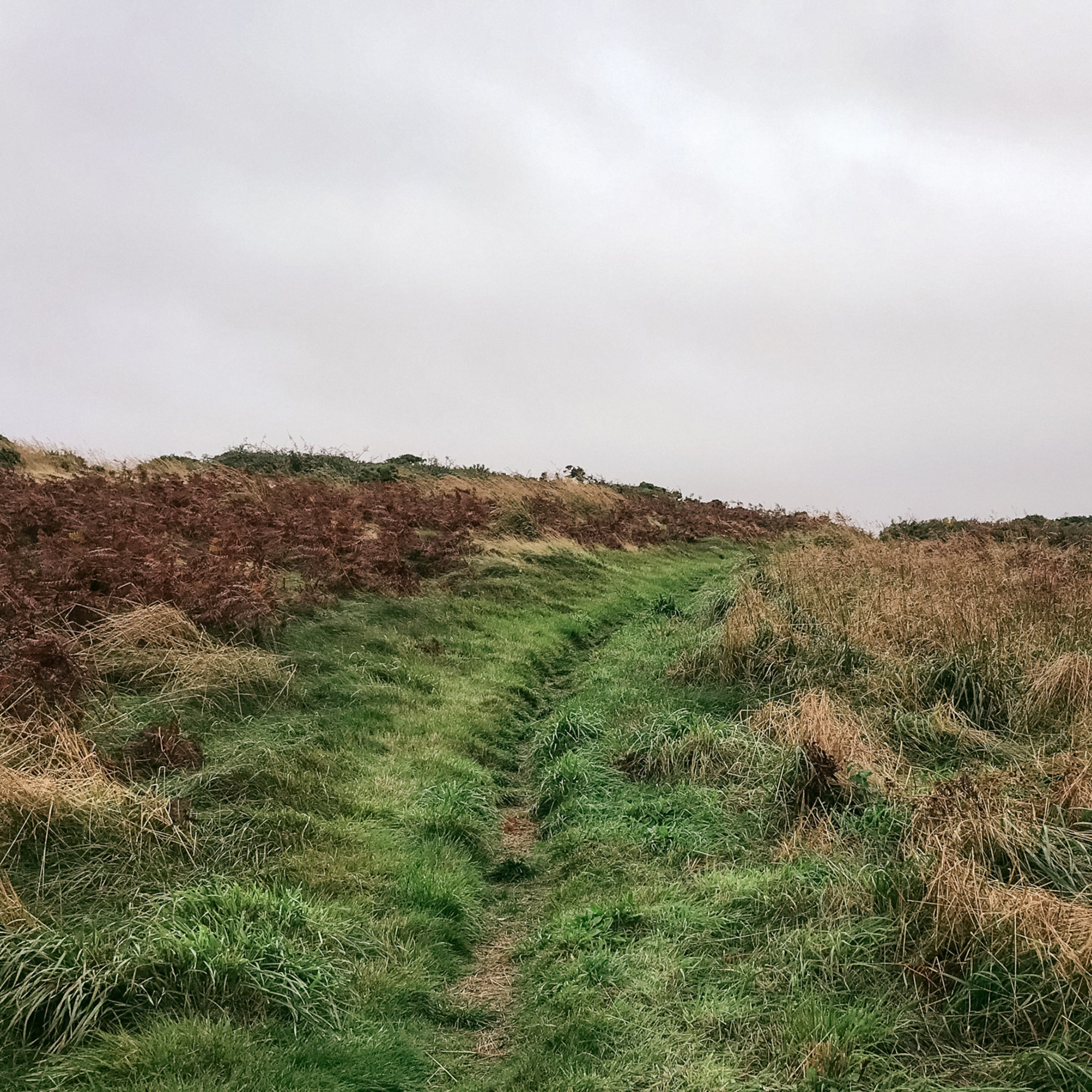 Coastal Path, Anglesey