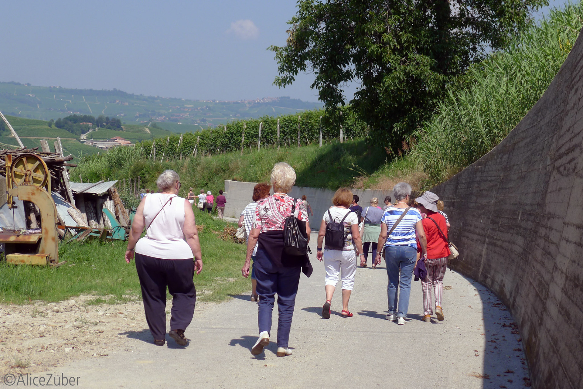 Oenothèque Cascina Meriame