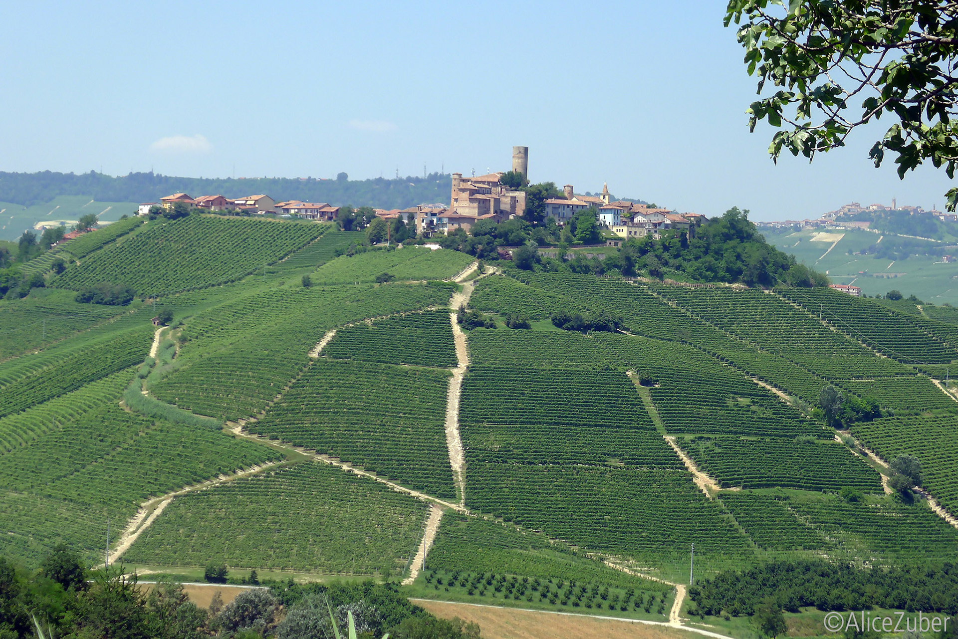 Barolo
