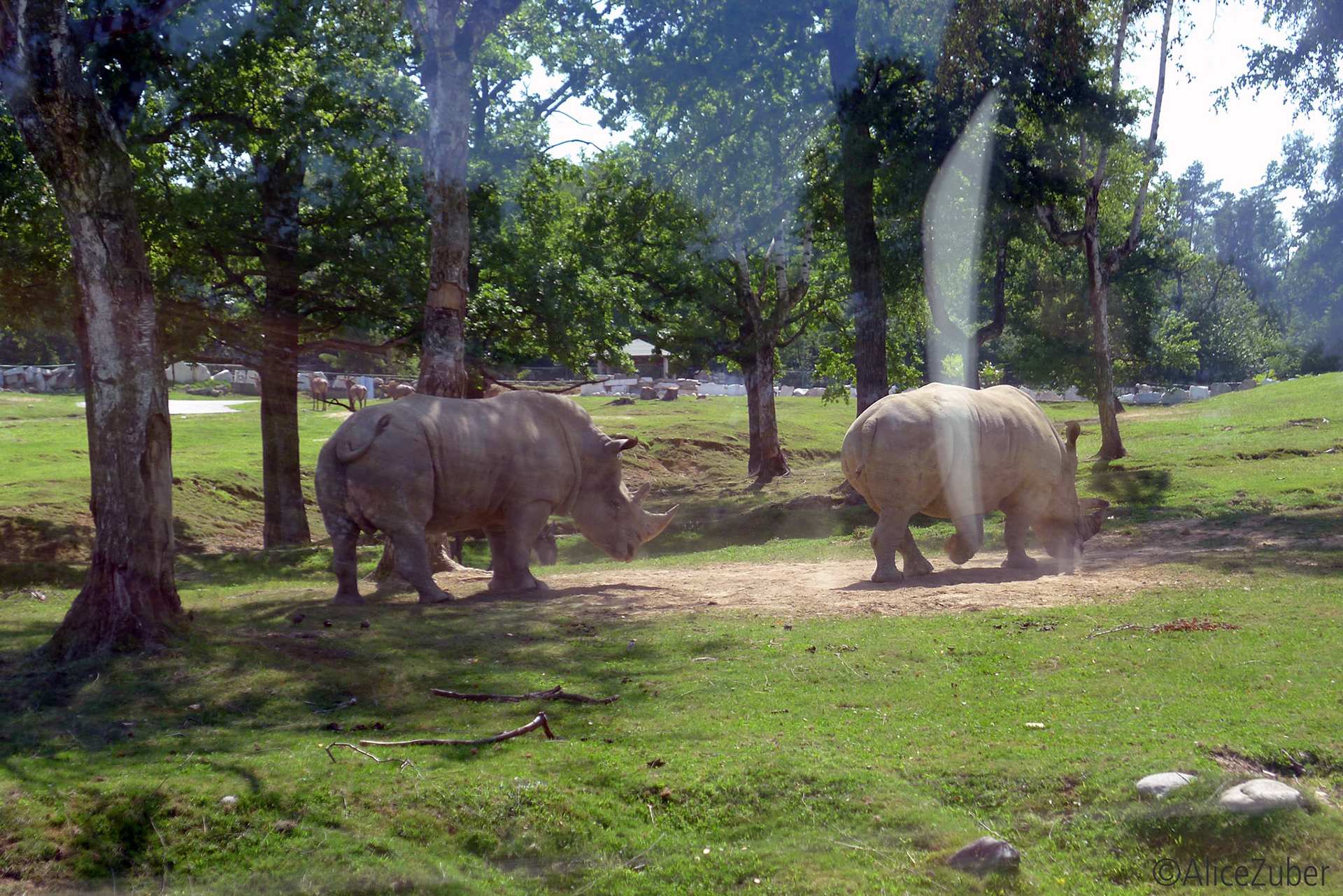 Safari Park Pombia