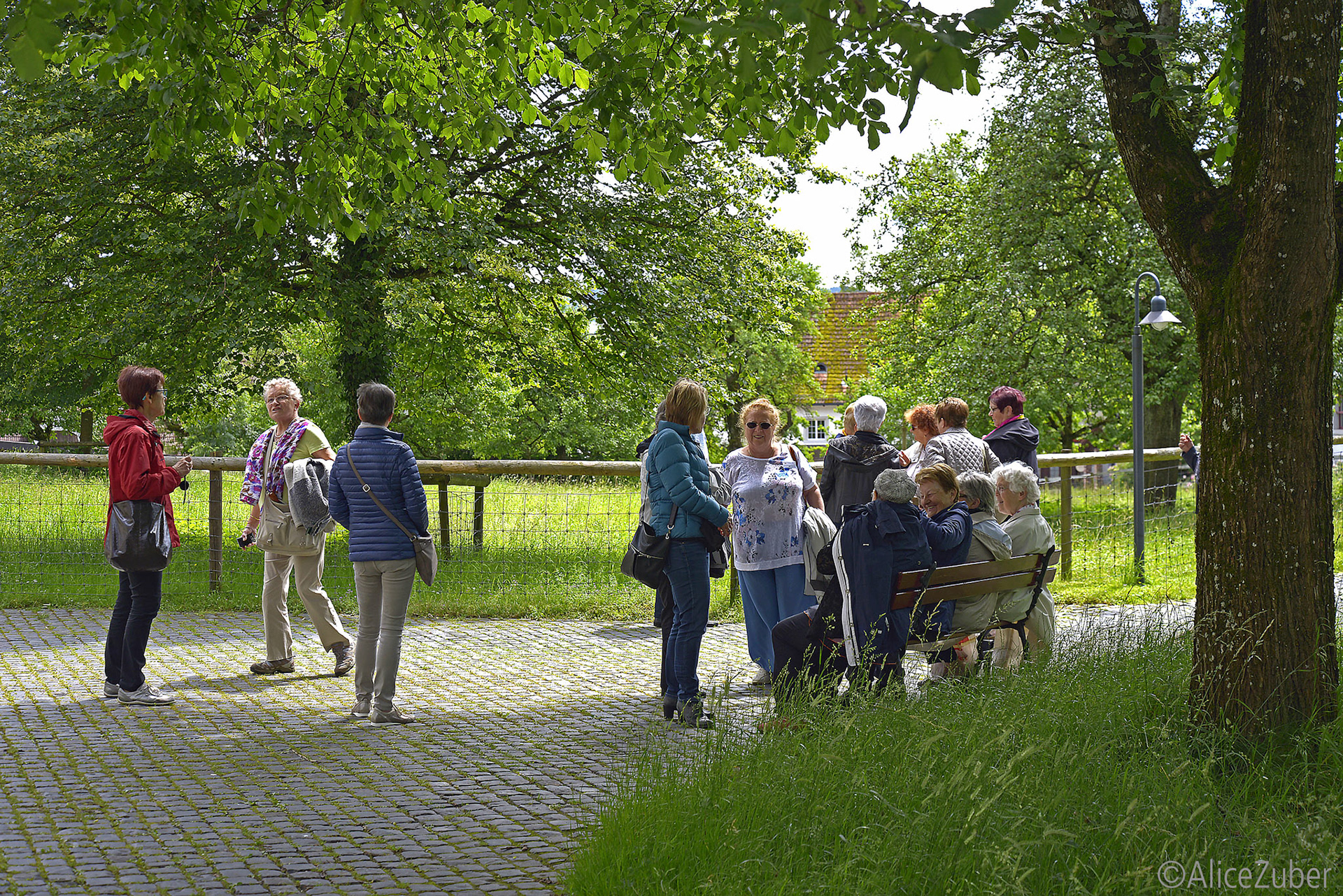Chartreuse d'Ittingen