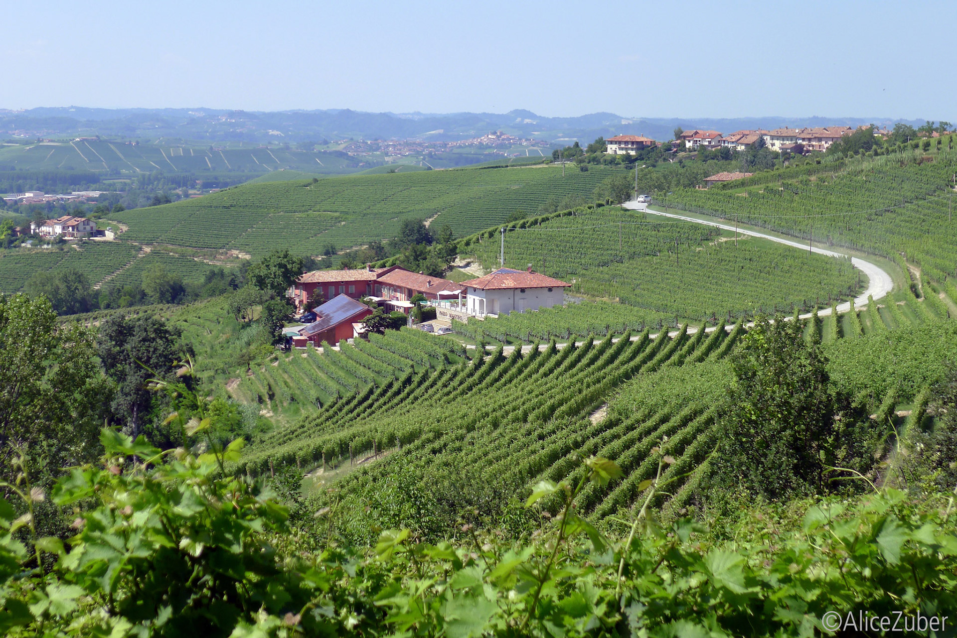 Oenothèque Cascina Meriame