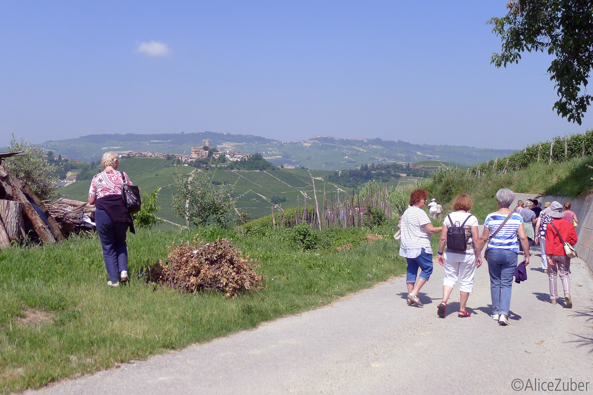Oenothèque Cascina Meriame