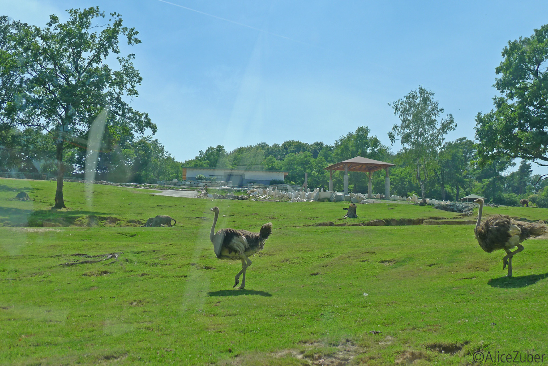 Safari Park Pombia
