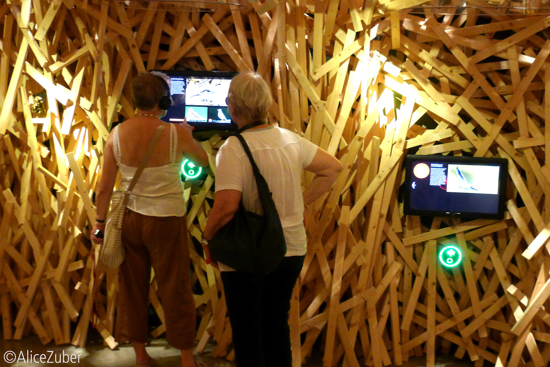 Station ornithologique, Sempach