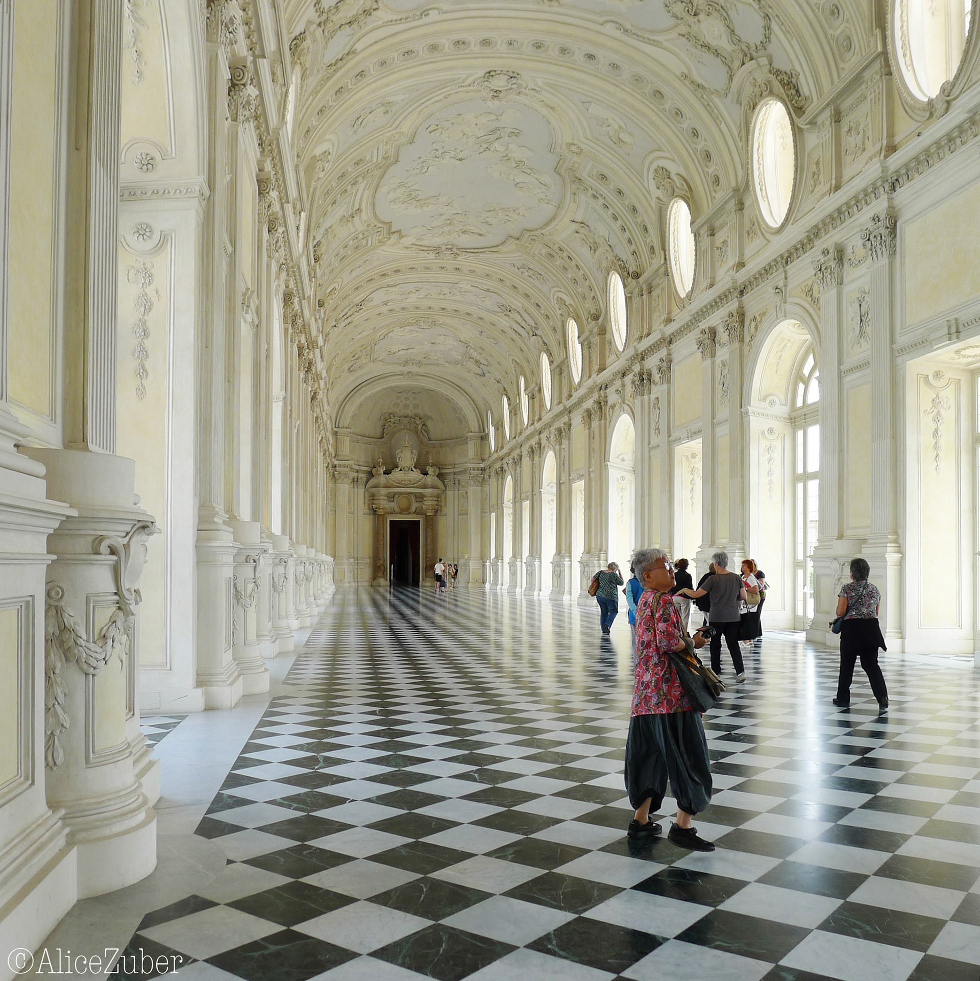 Venaria Reale