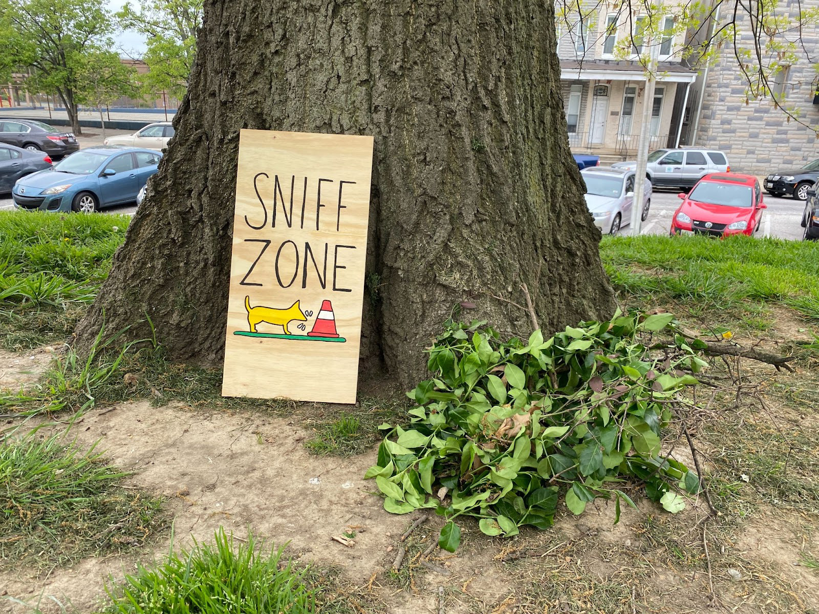 The 'Sniff Zone'