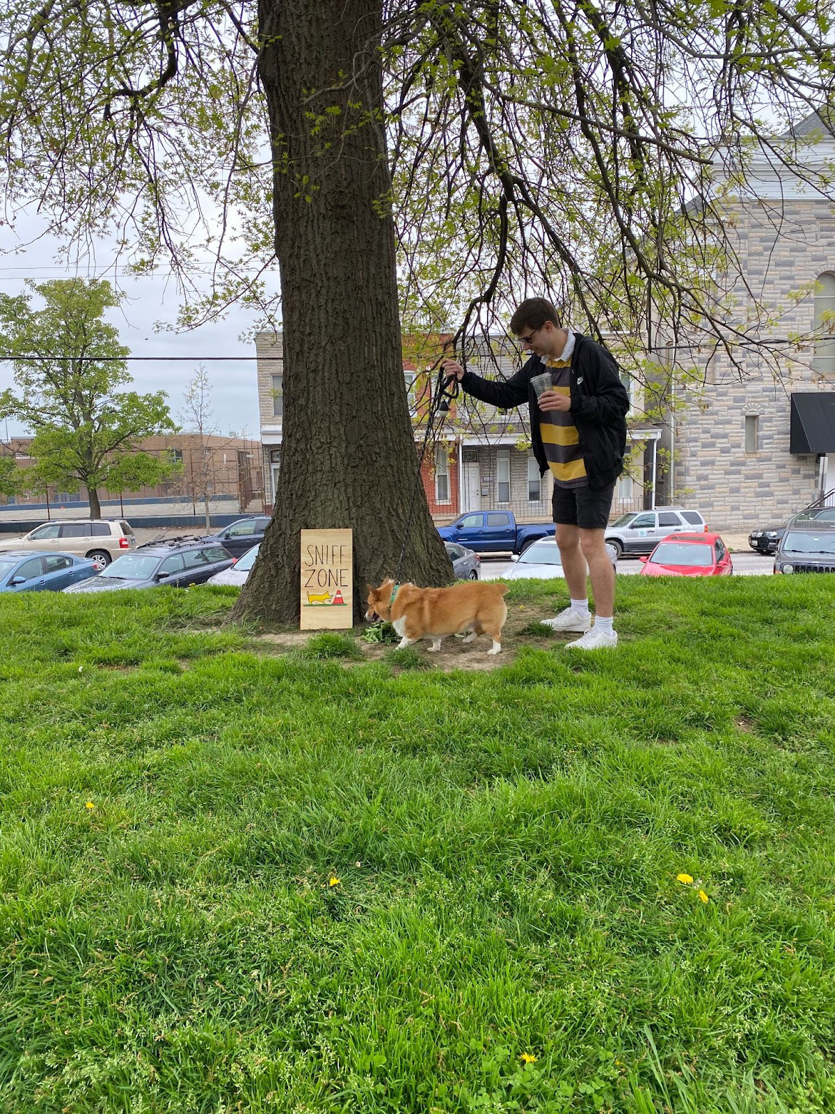 Owner and dog walking around the 'Sniff Zone'