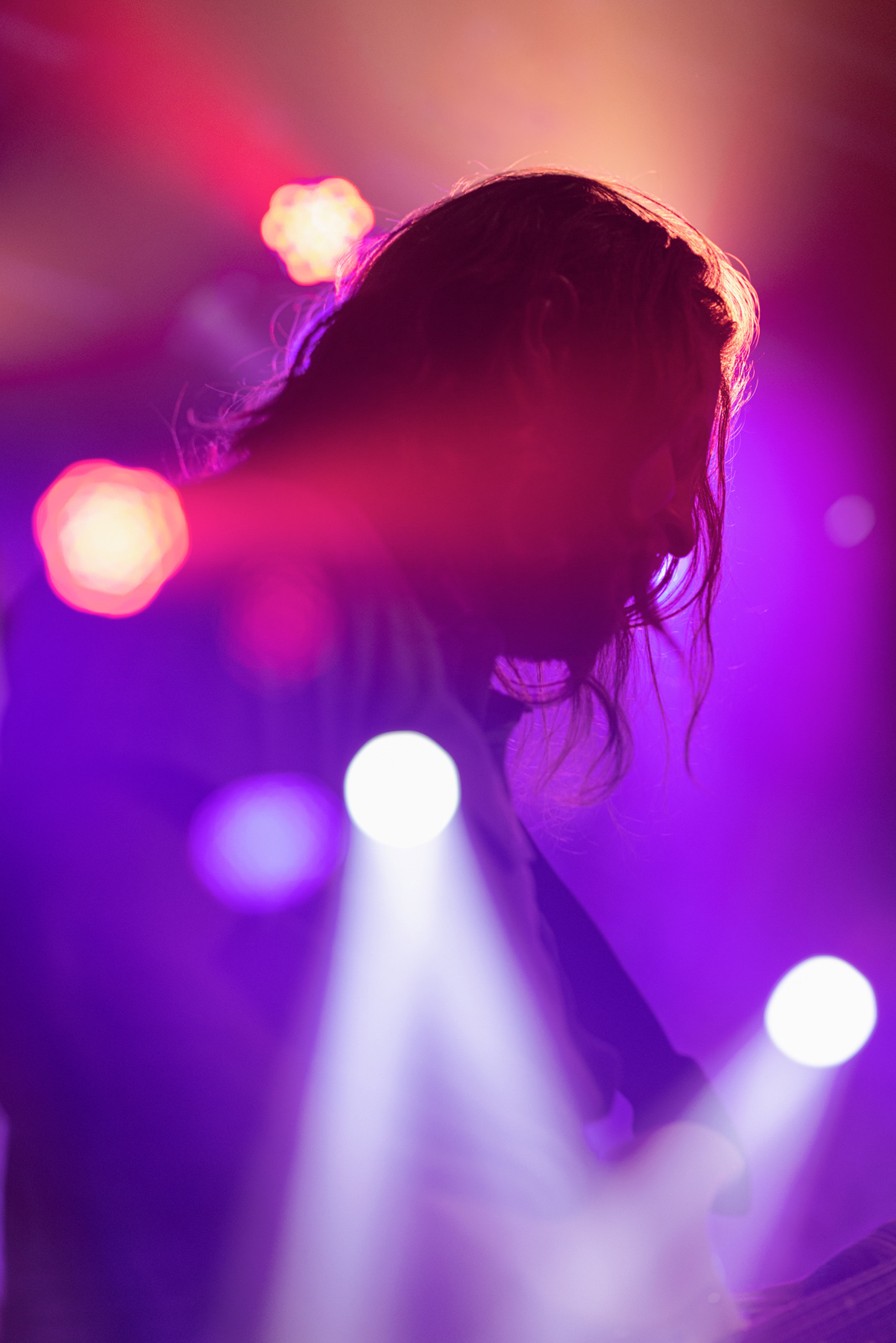 Grateful Shred, 2022