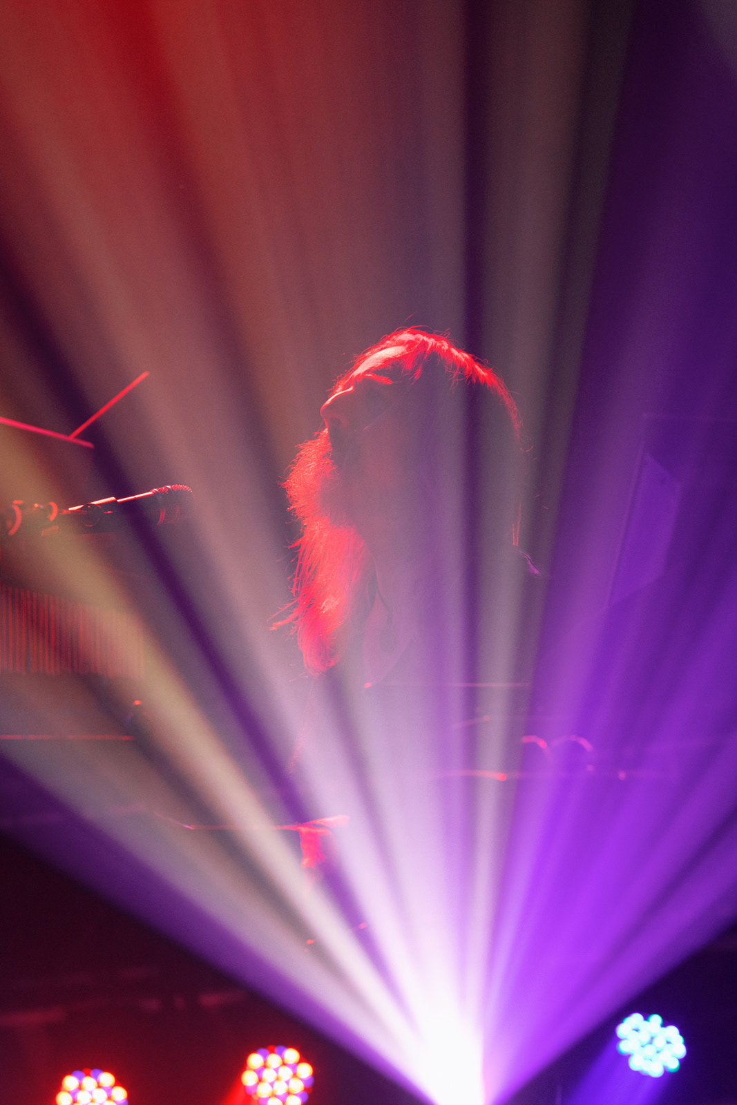 Grateful Shred, 2022