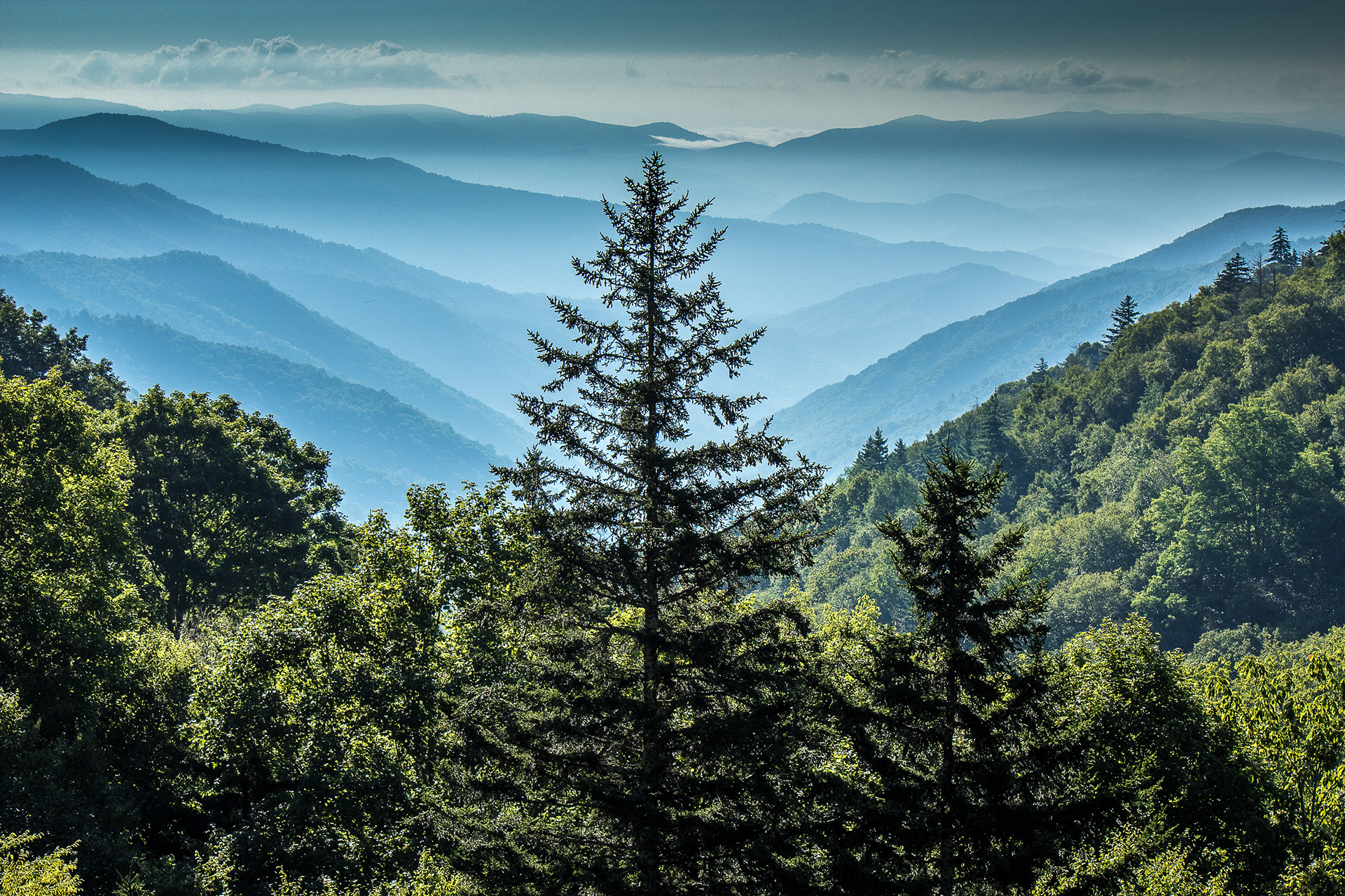 Newfound Gap