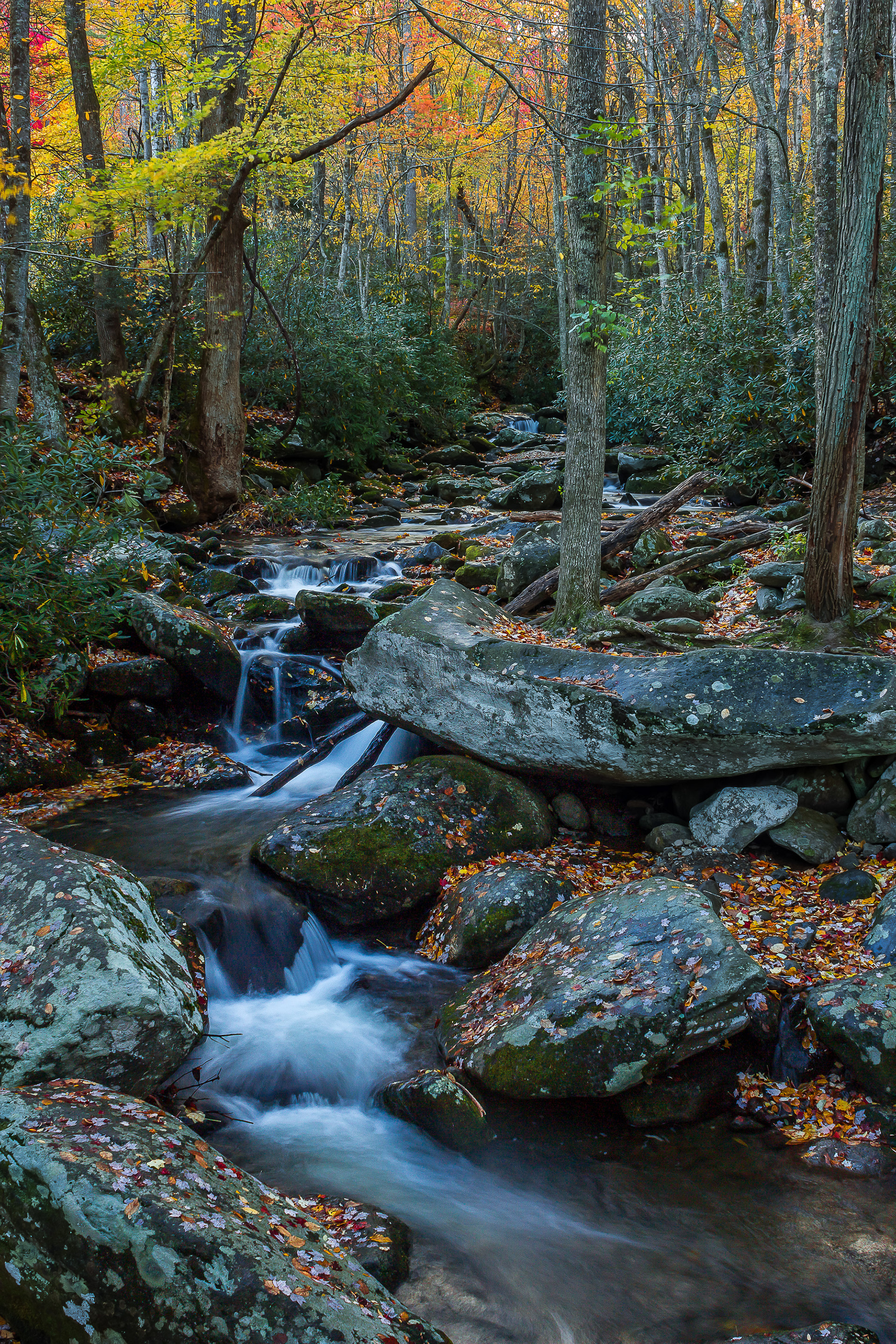 Roaring Fork