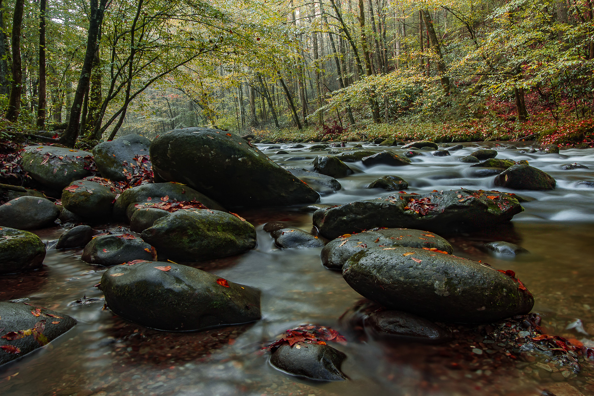 Mountain Stream