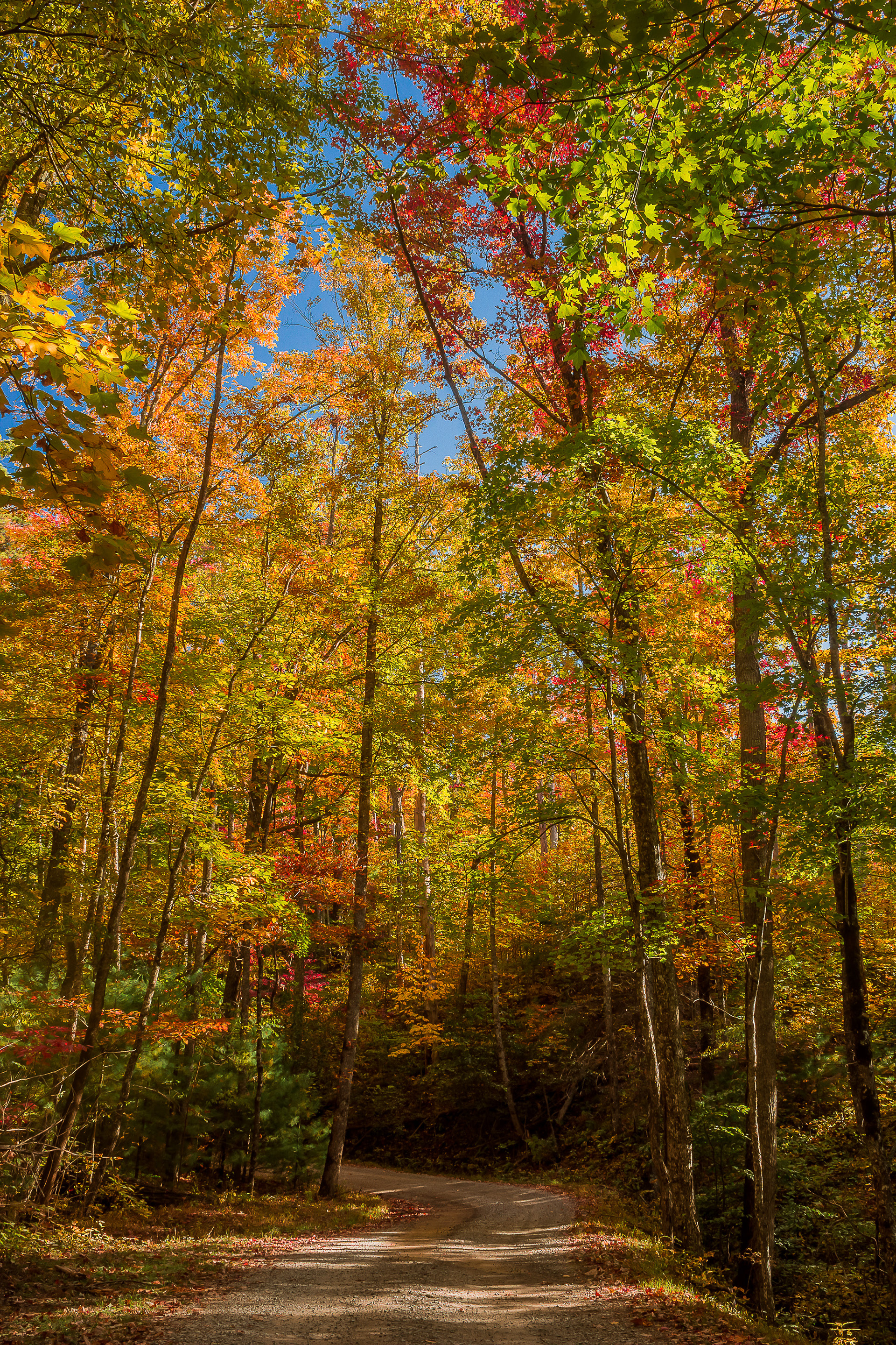 Rich Mountain Road