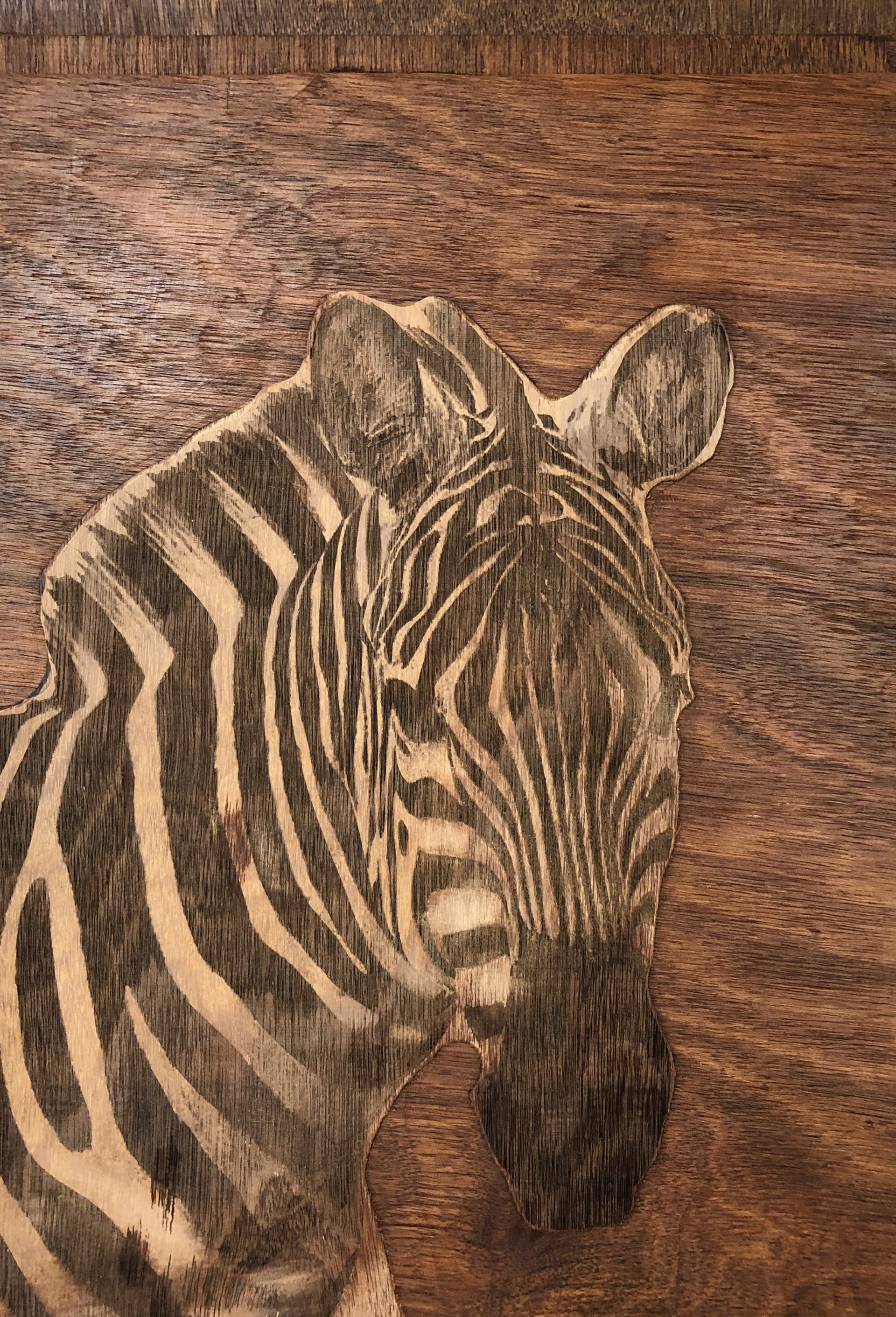 Panel 1. Zebra