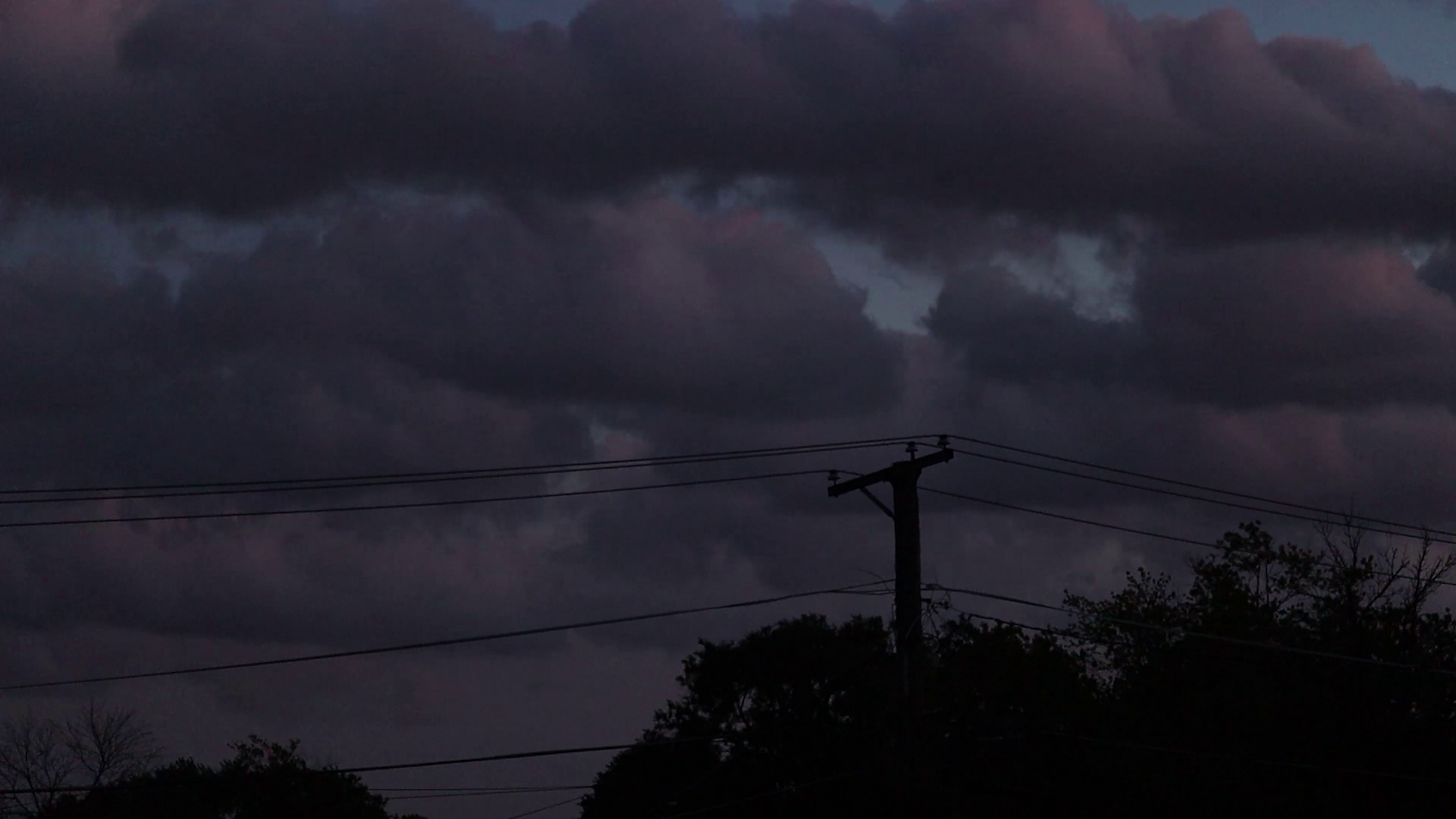 THE LAST YEAR (2020)