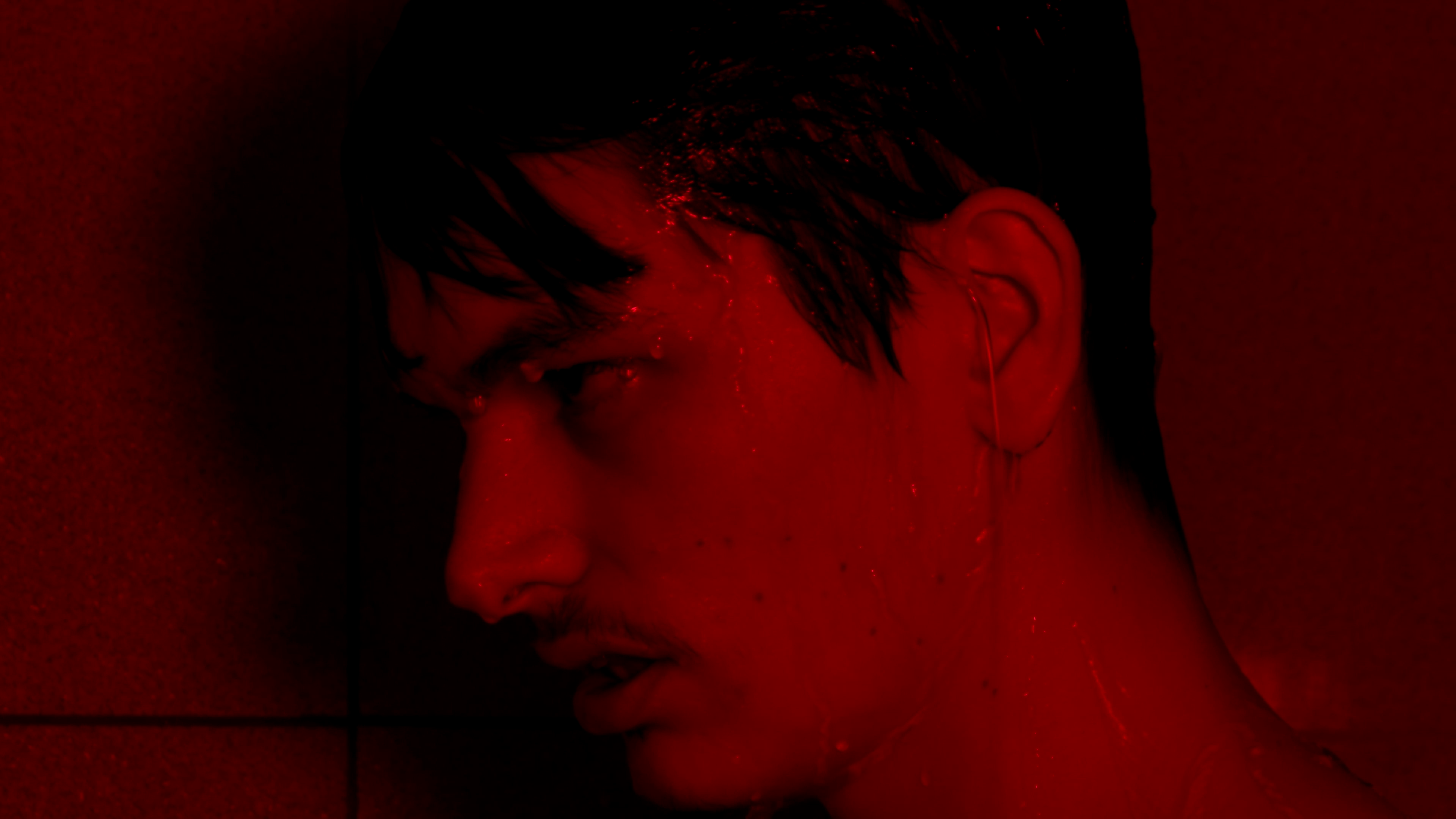 CONFRONTATION (2020)