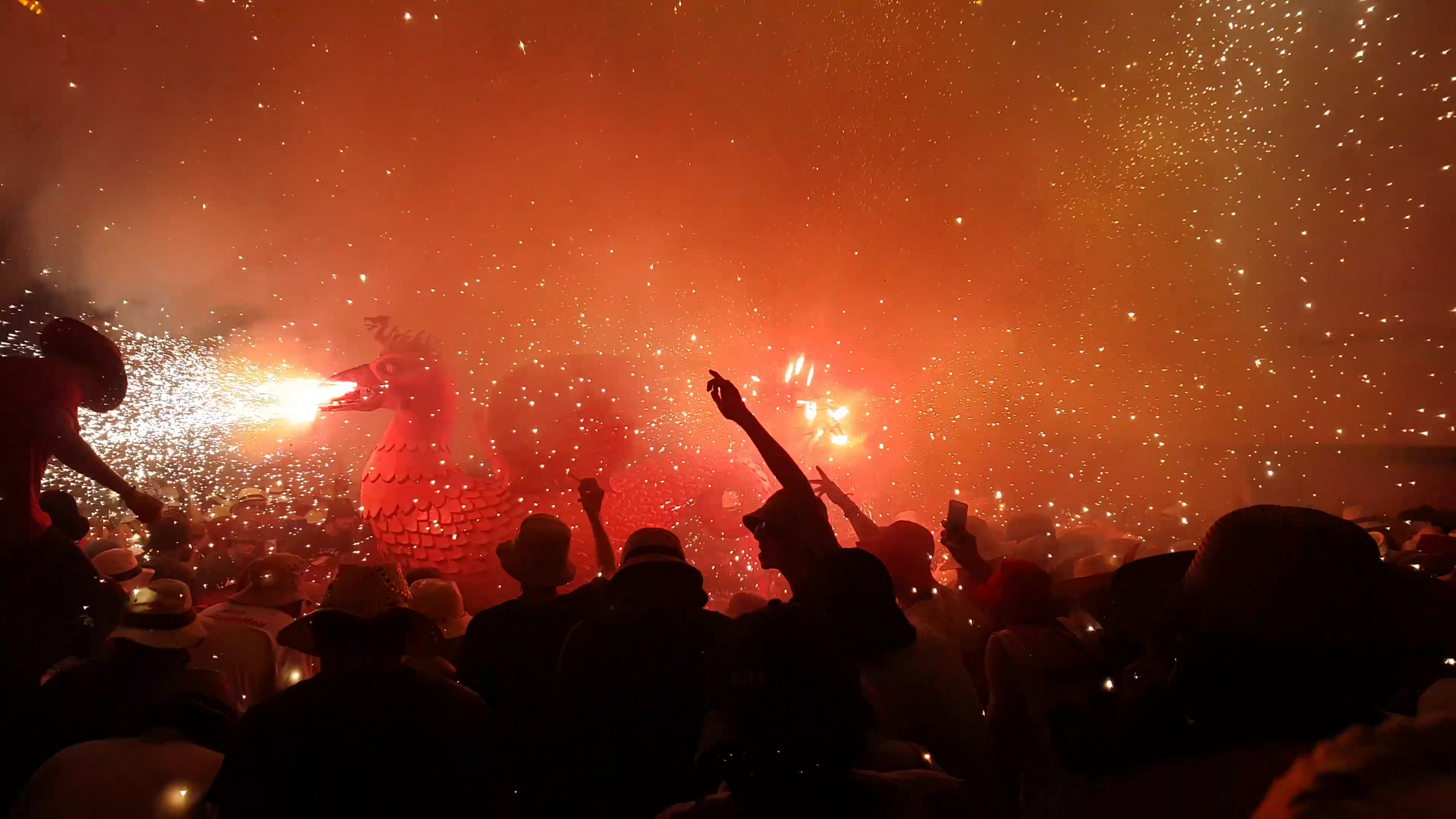 THE LAST YEAR (2020)