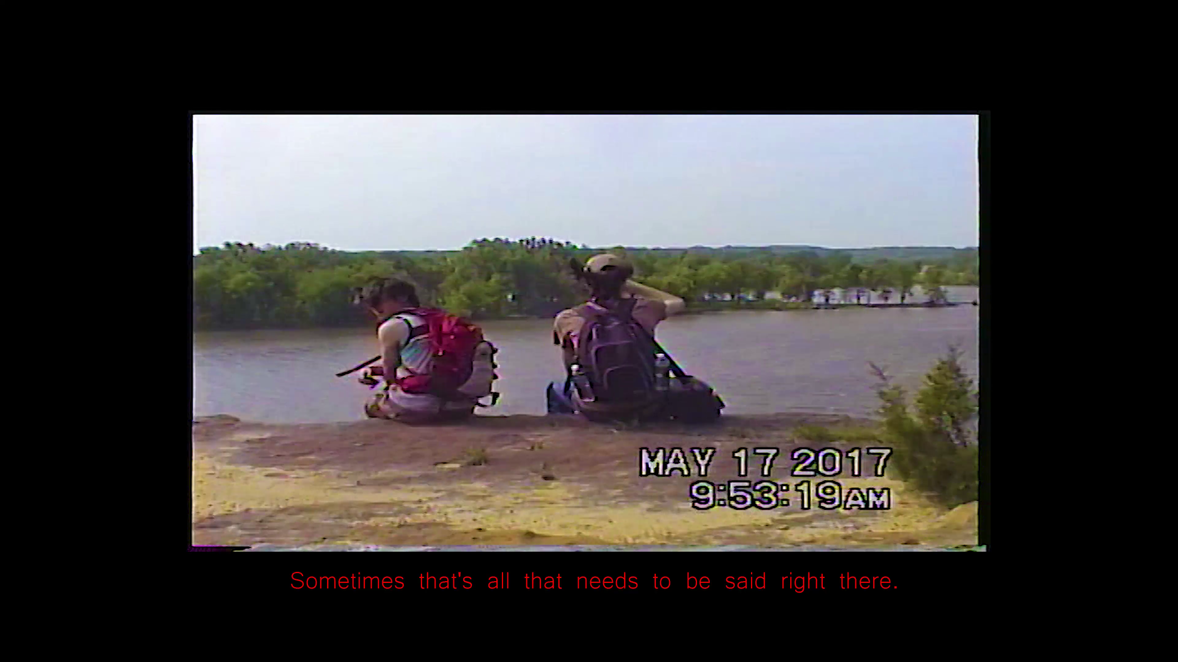 THE LAST YEAR (2020)