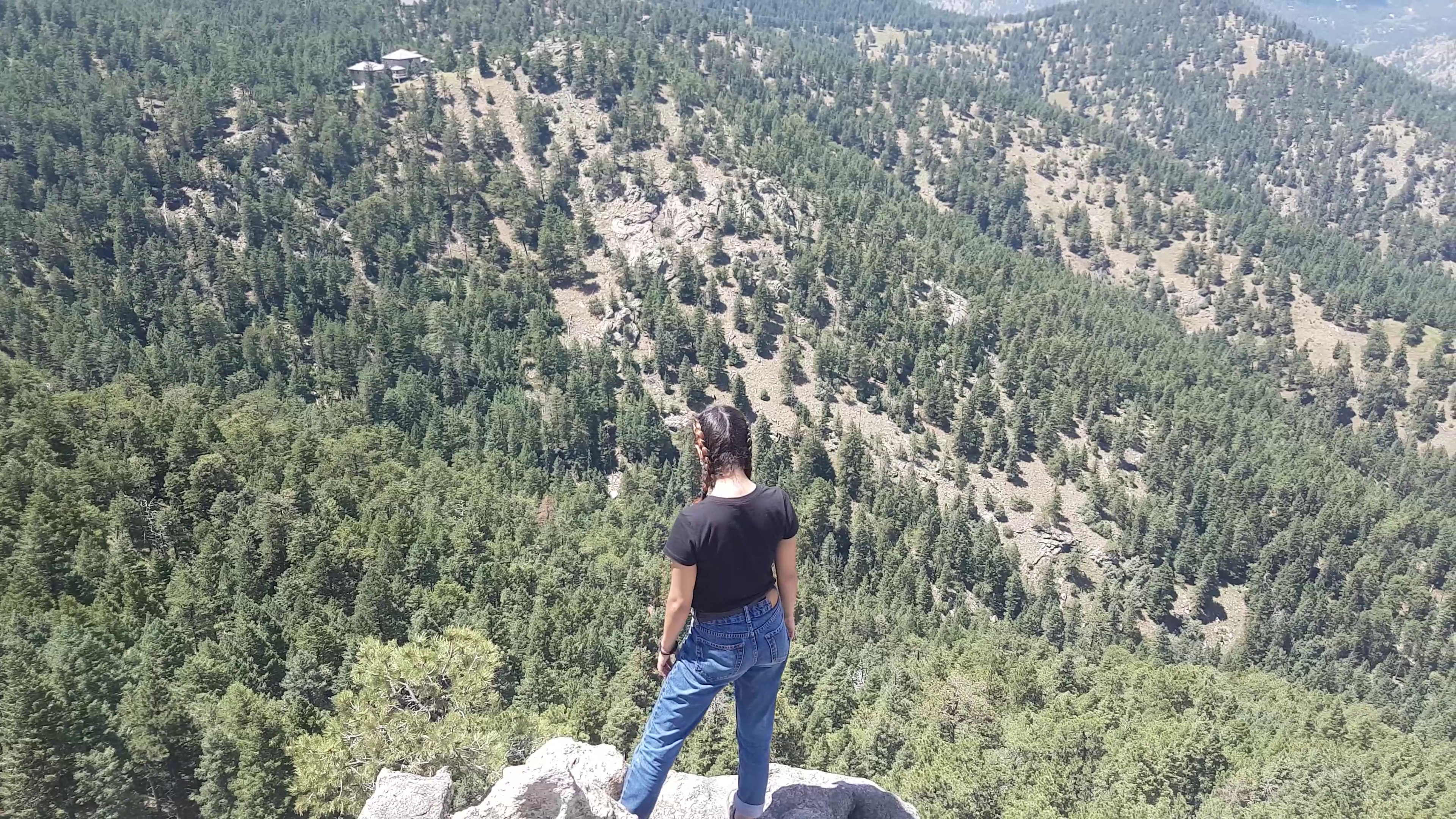 THE LAST YEAR (2020)