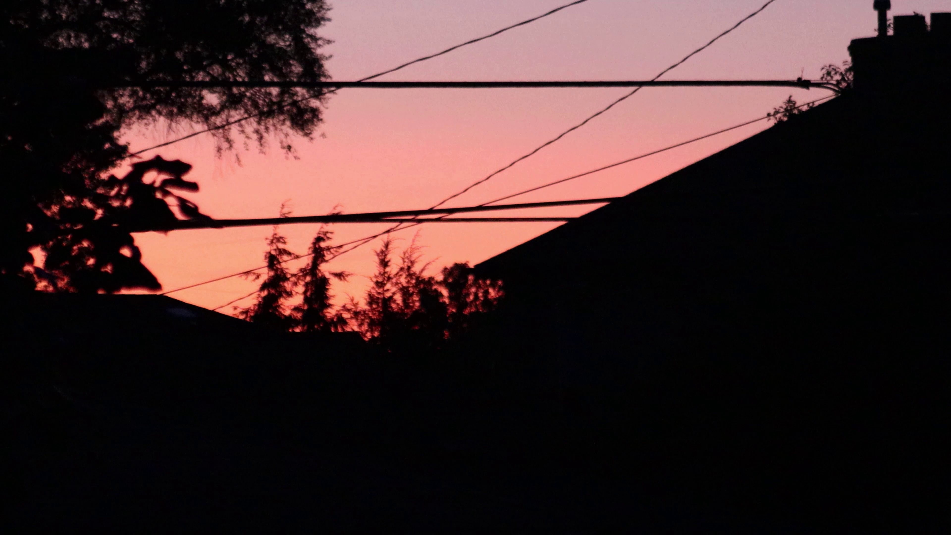 THE LAST YEAR (2020)