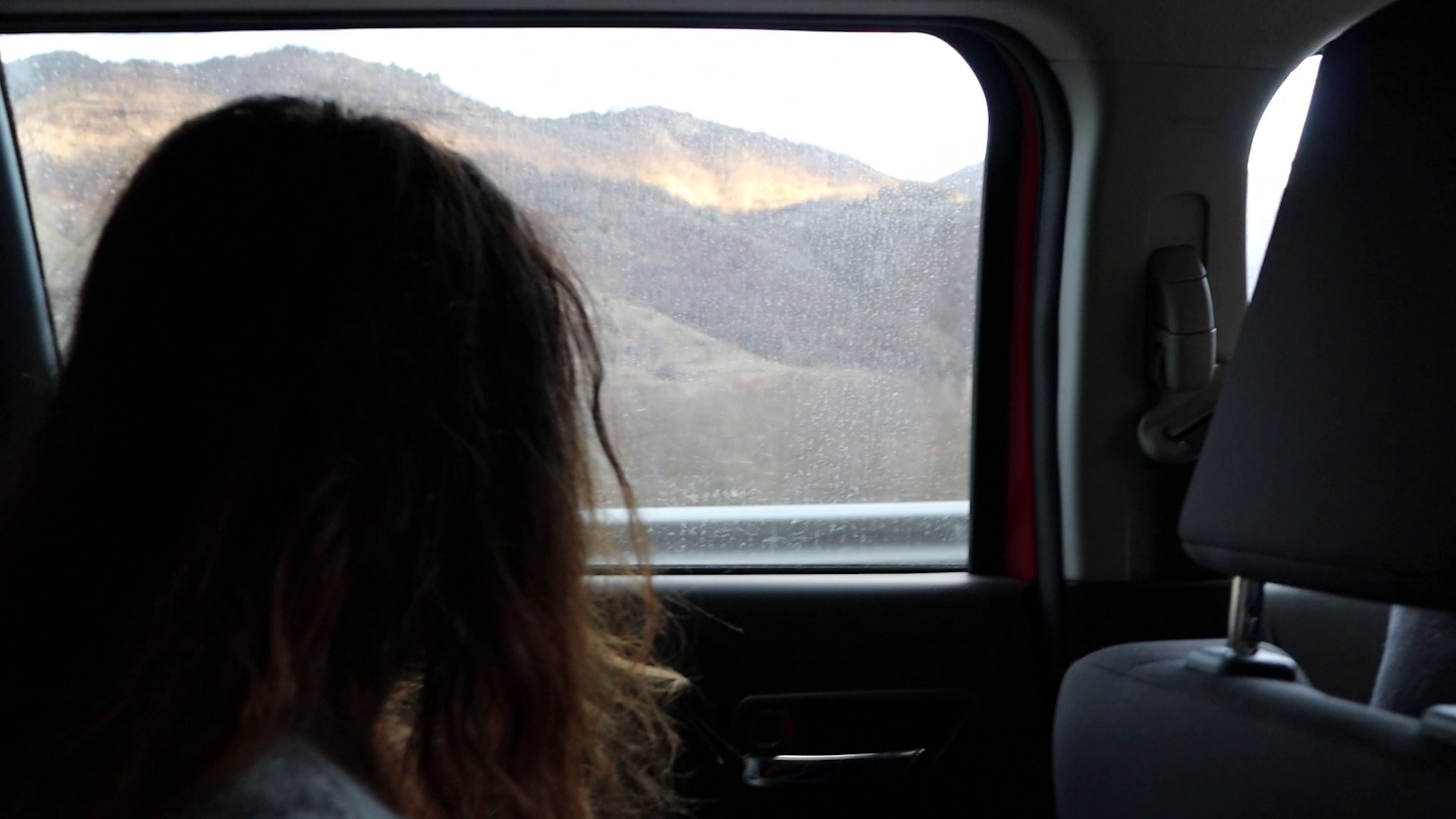 THE LAST YEAR (2020)