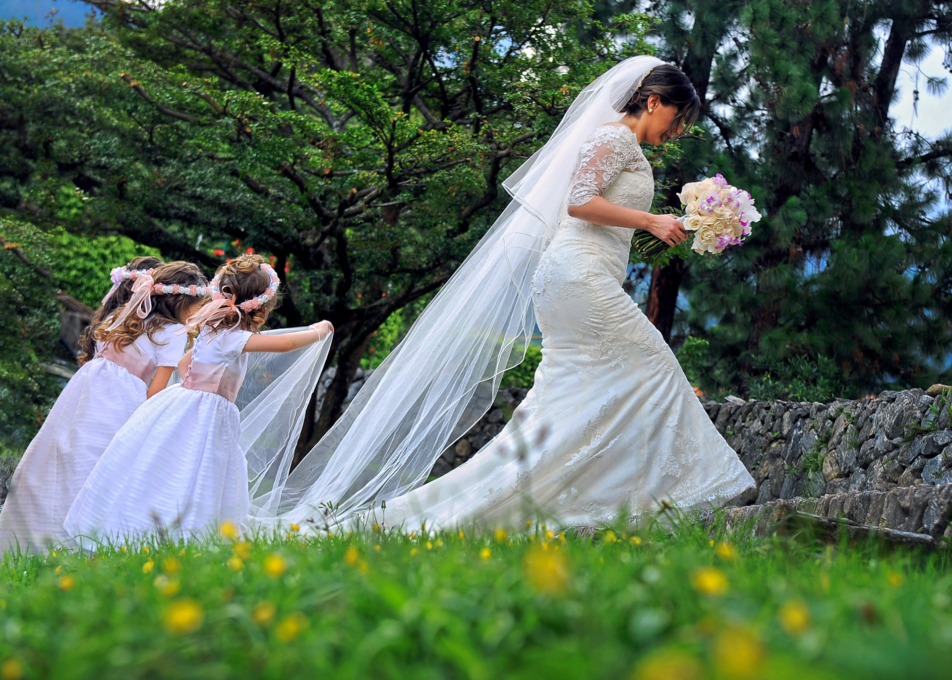 Bodas