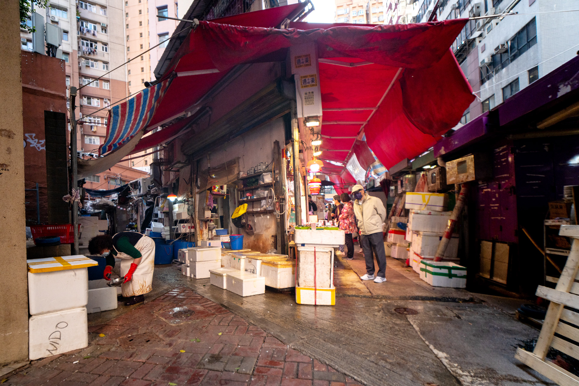後巷(路地裏) 香港には路地裏が多く、店が作業場として使うことも少なくない。 荷物の出し入れや仕込み、清掃や片付けが行われ、 表通りを離れても、ここには人の動きと暮らしの気配が残っている。
