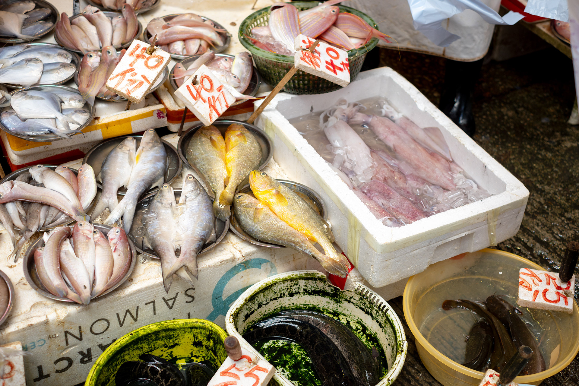 生鮮市場（ウェットマーケット） 濡れた床が続く市場で、 生きた家禽や海鮮の音と匂いは、子どもには少し怖いかもしれない。 けれど、料理人や主婦にとっては、新鮮な食材を自分の目で選べる—— それはきっと、「食材の宝庫」だ。