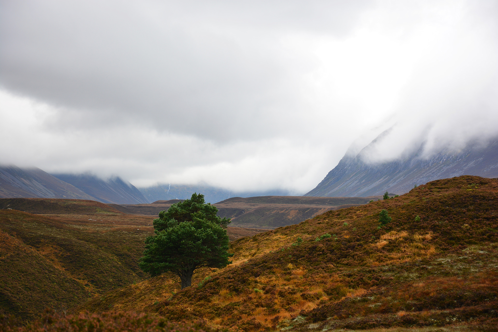 Herbststimmung im unbewohnten Hochtal Gleann Einich in den Cairngorm Mountains