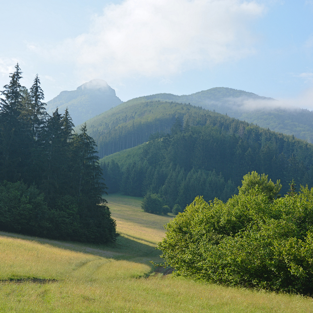 Liebliche Morgenstimmung im Landschaftsschutzgebiet Strážovské vrchy