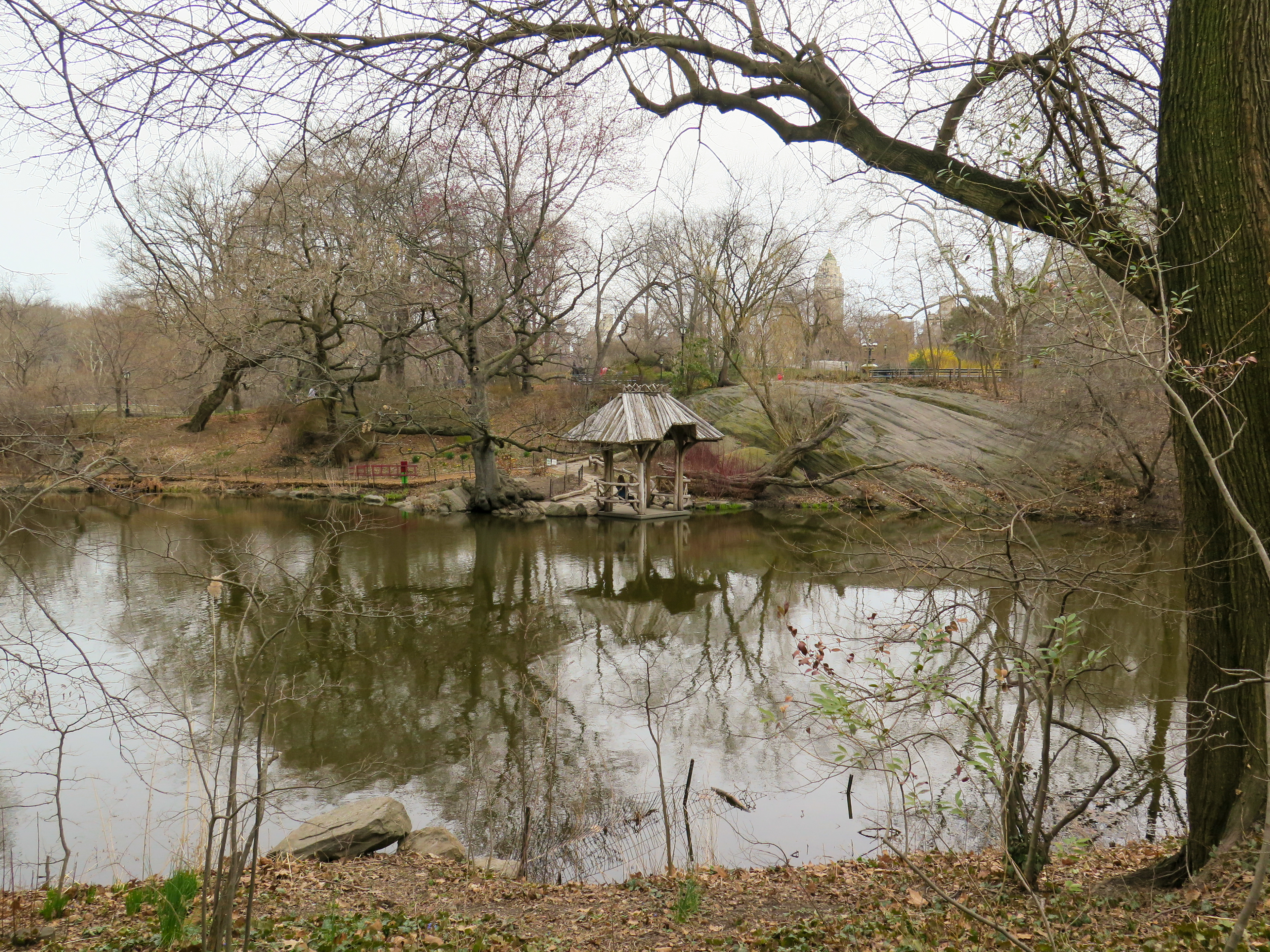 Wagner Cove | (New York, USA)