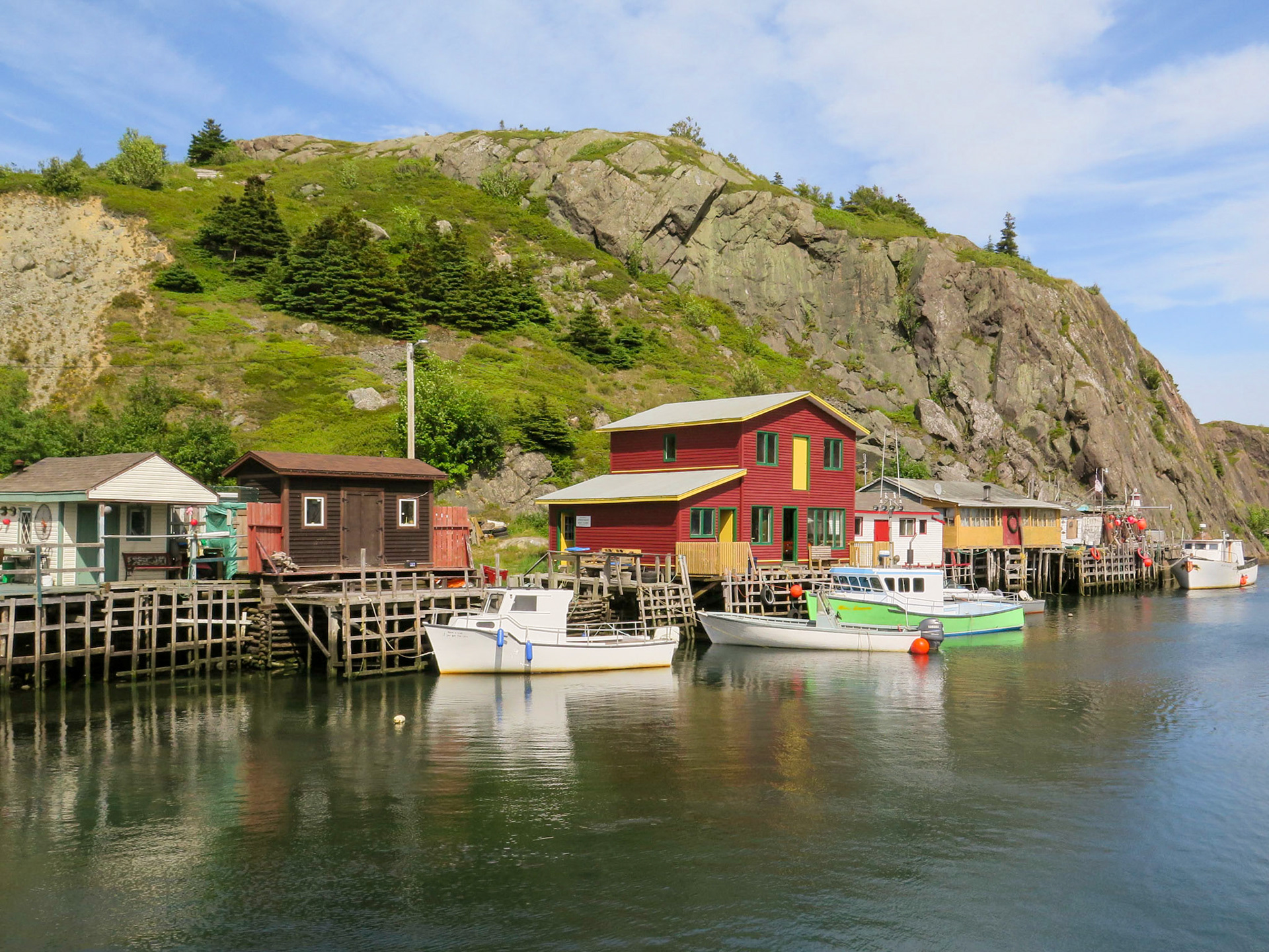 The Gut | (Quidi Vidi)