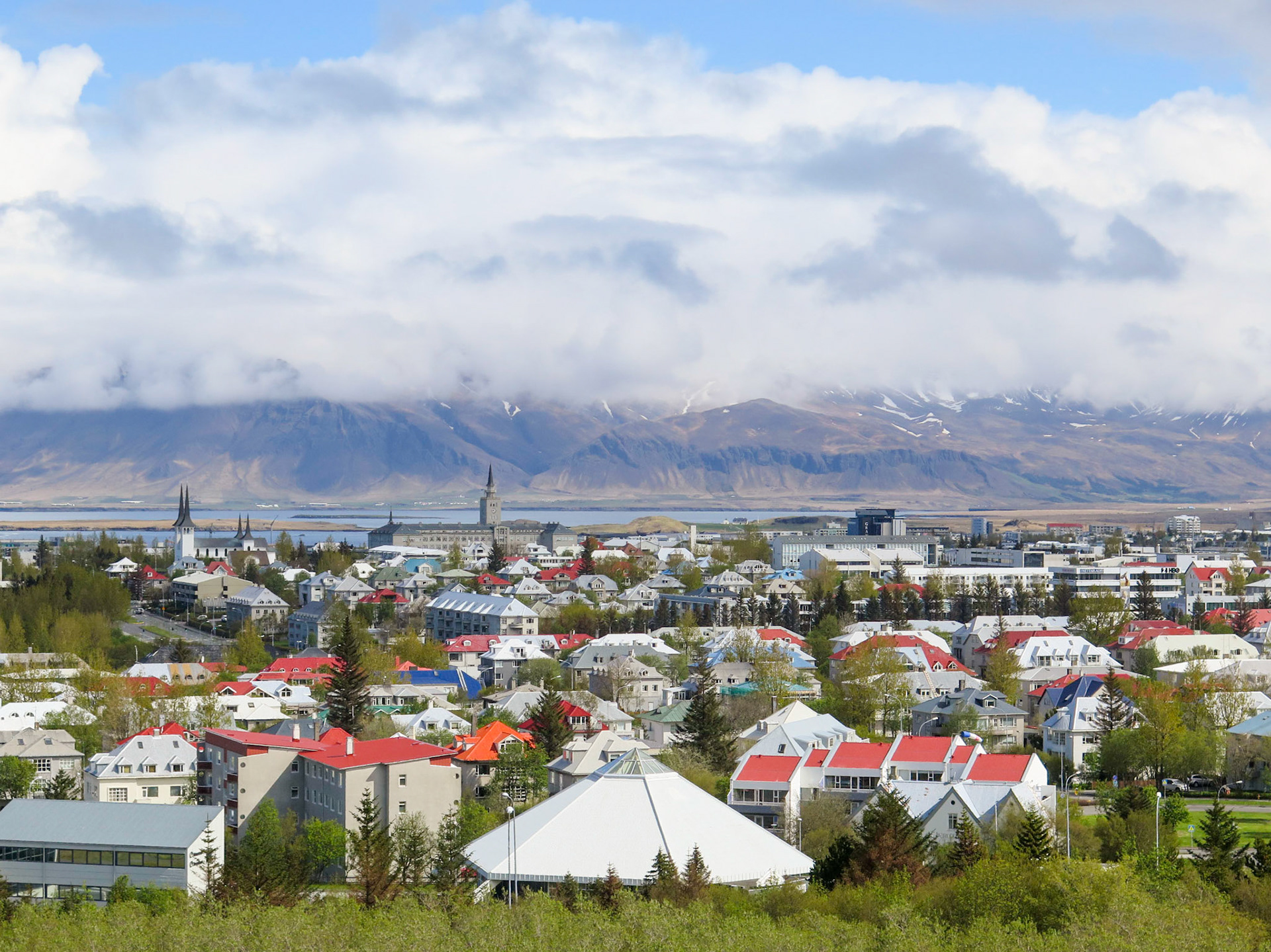 Smoky Bay | (Reykjavík)