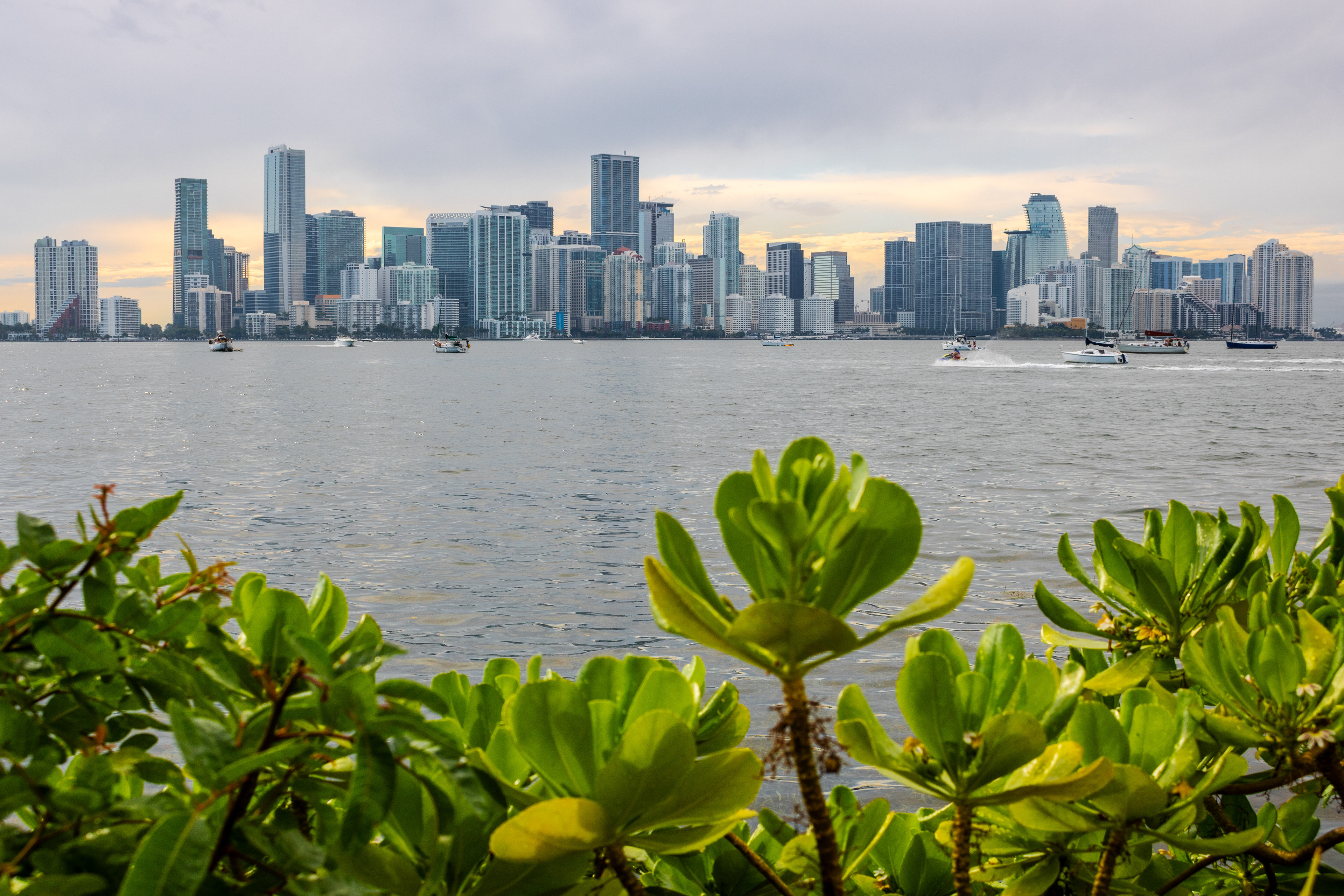 City of Sun | (Miami, USA)