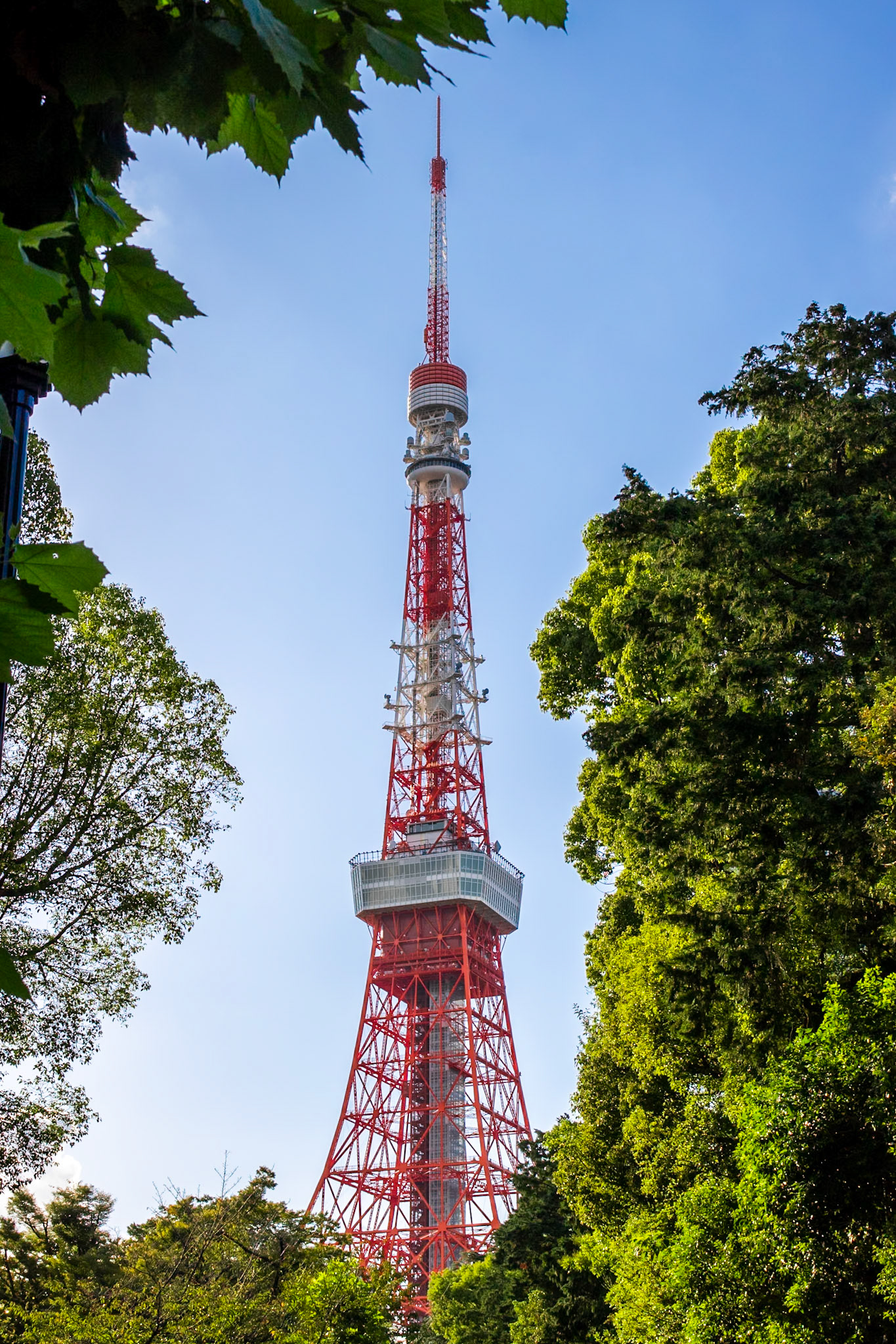Leaf Frame | (Tokyo Tower)