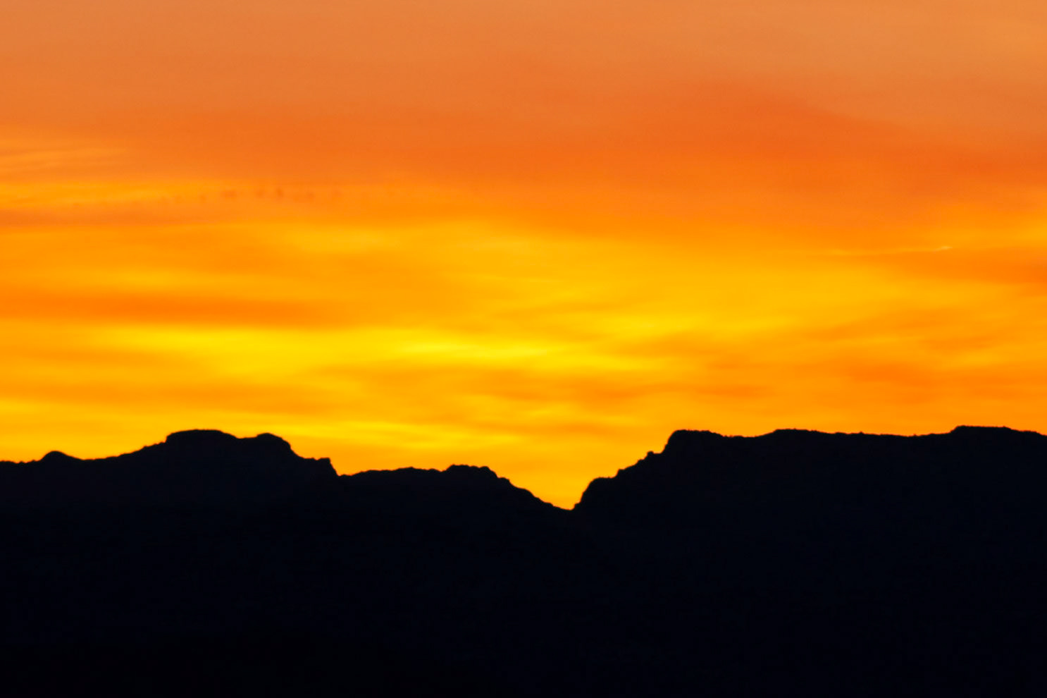 Arizona Sunset