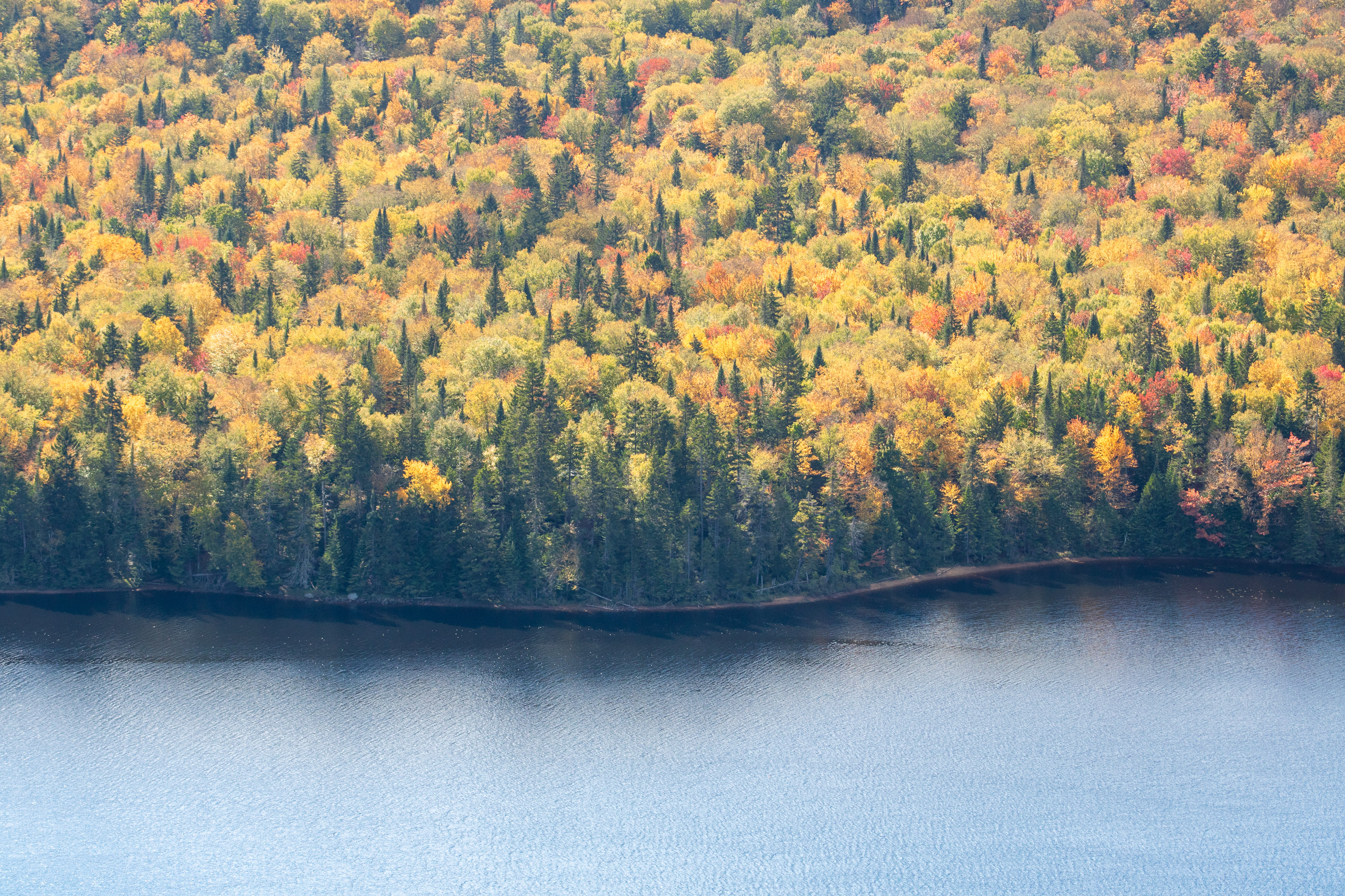 Cut-Off | (Parc National du Mont-Tremblant)