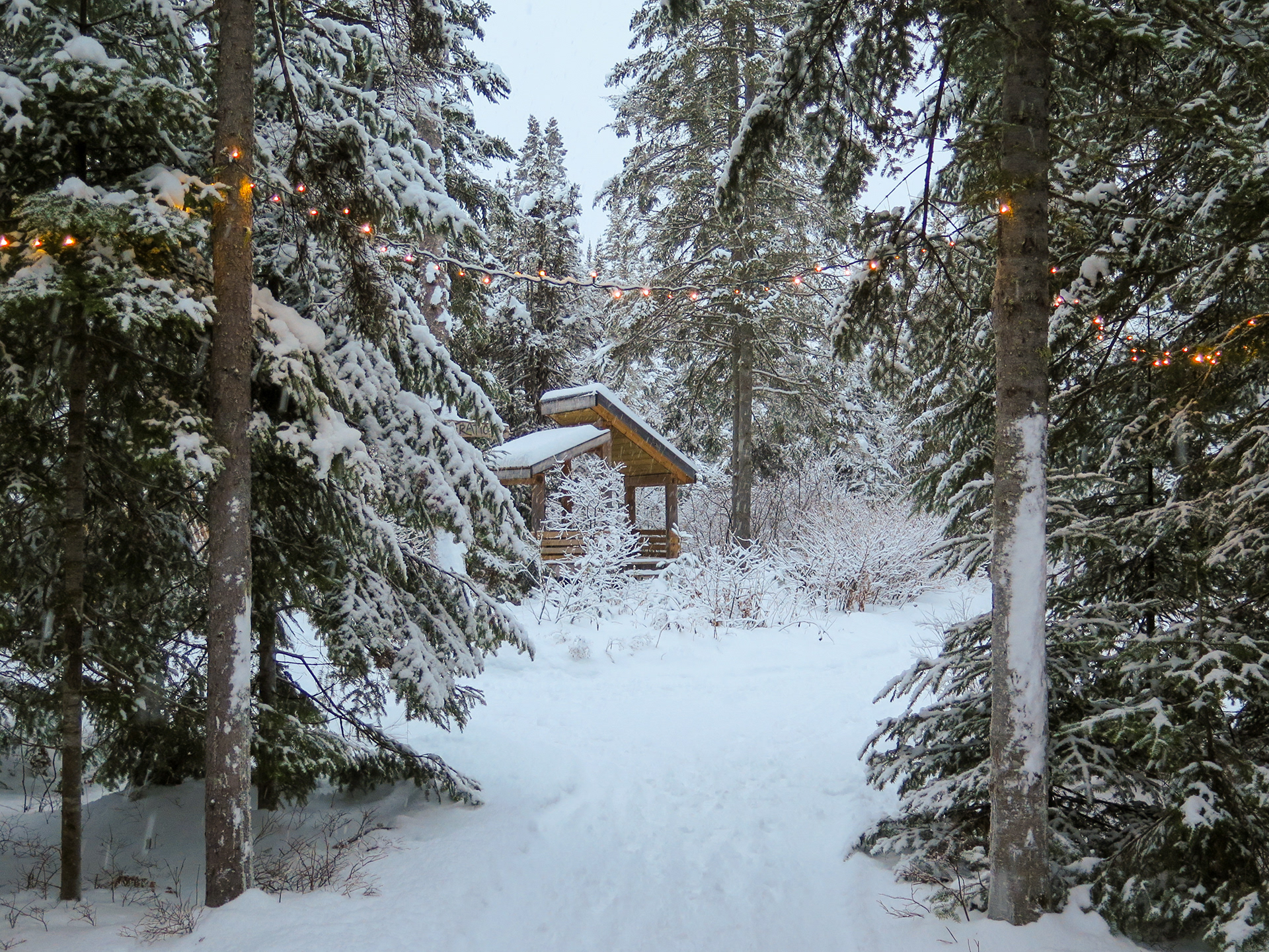 A Winter Walk | (Kabania, Canada)