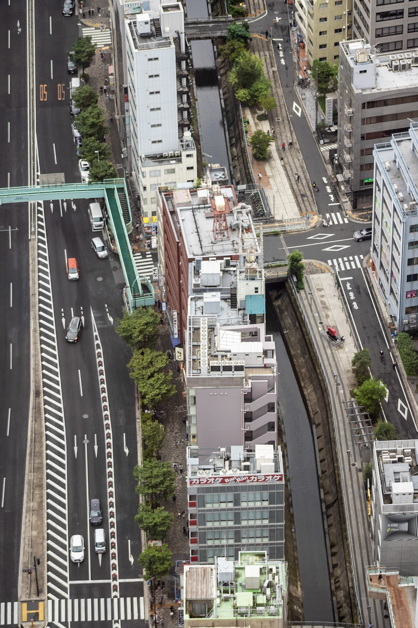 Road or River | (Shibuya Sky)
