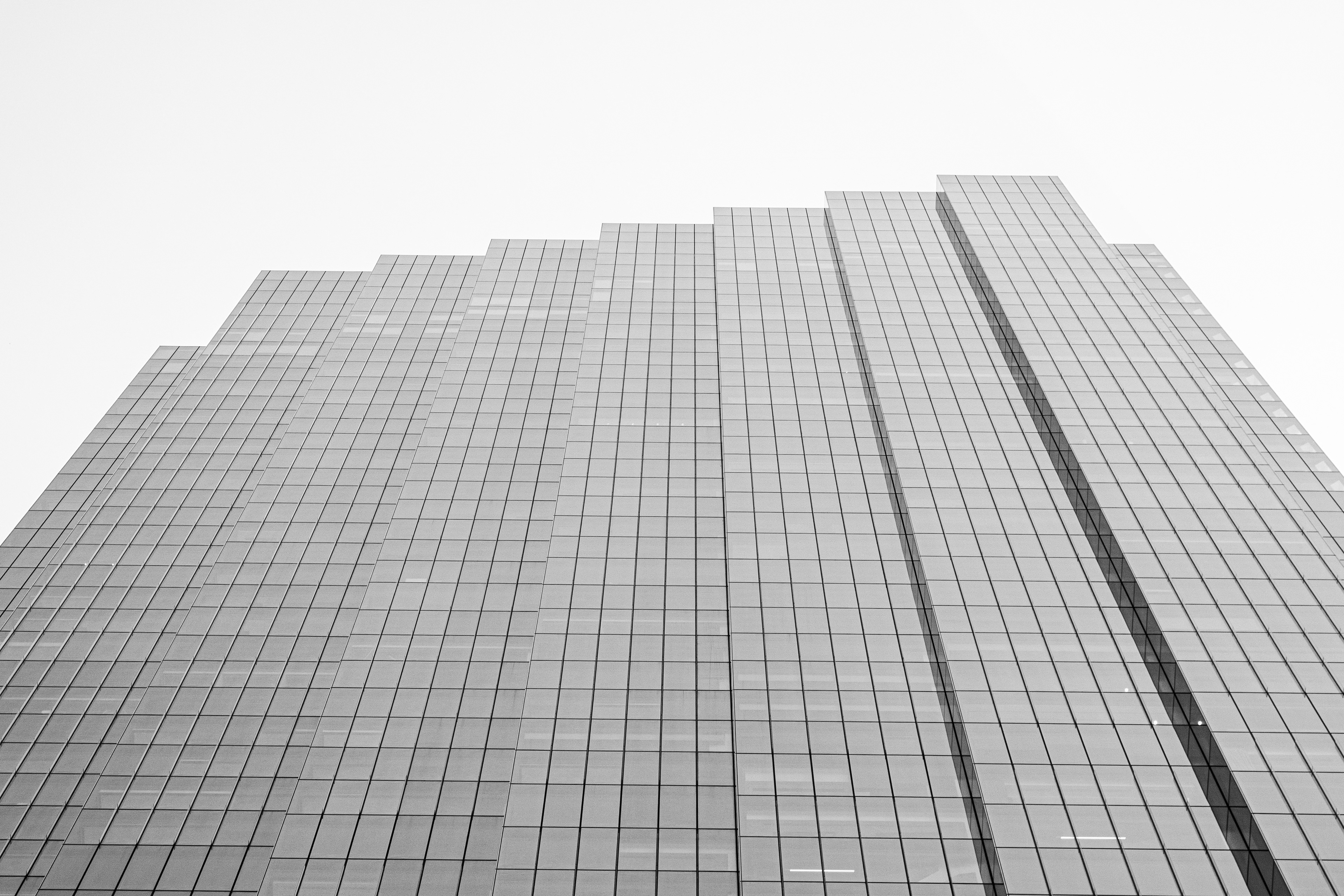 Walk the Plank | (Chicago, USA)