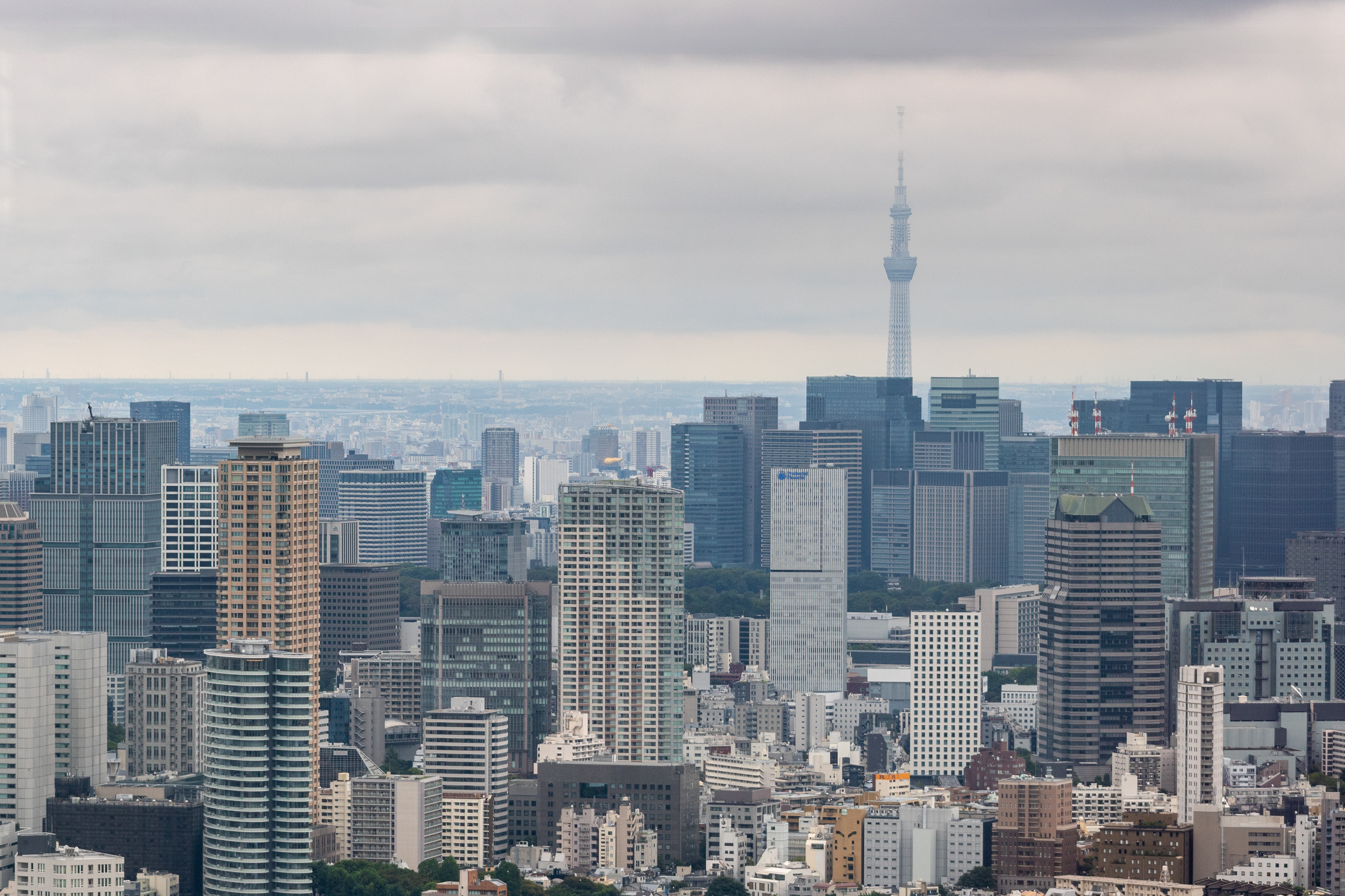 See the Skytree | (Tokyo, Japan)