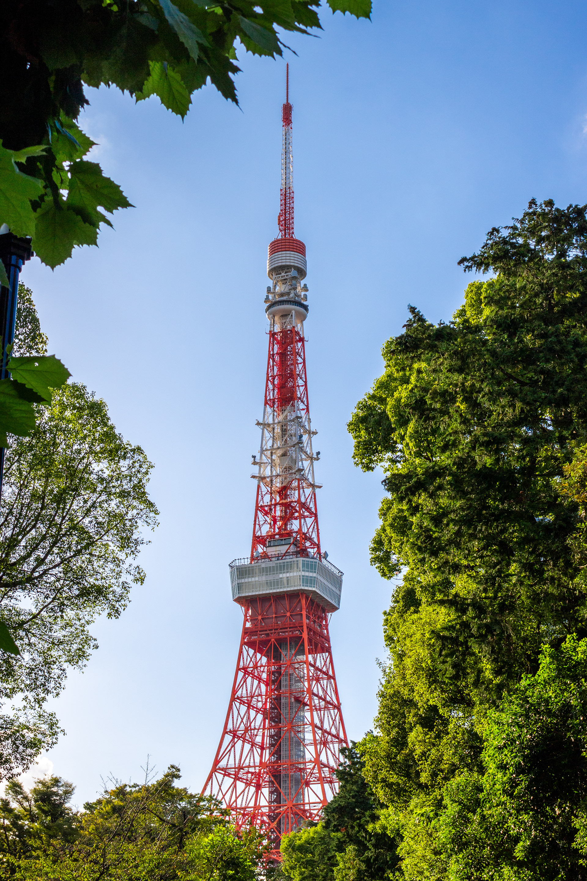 Leaf Frame | (Tokyo, Japan)
